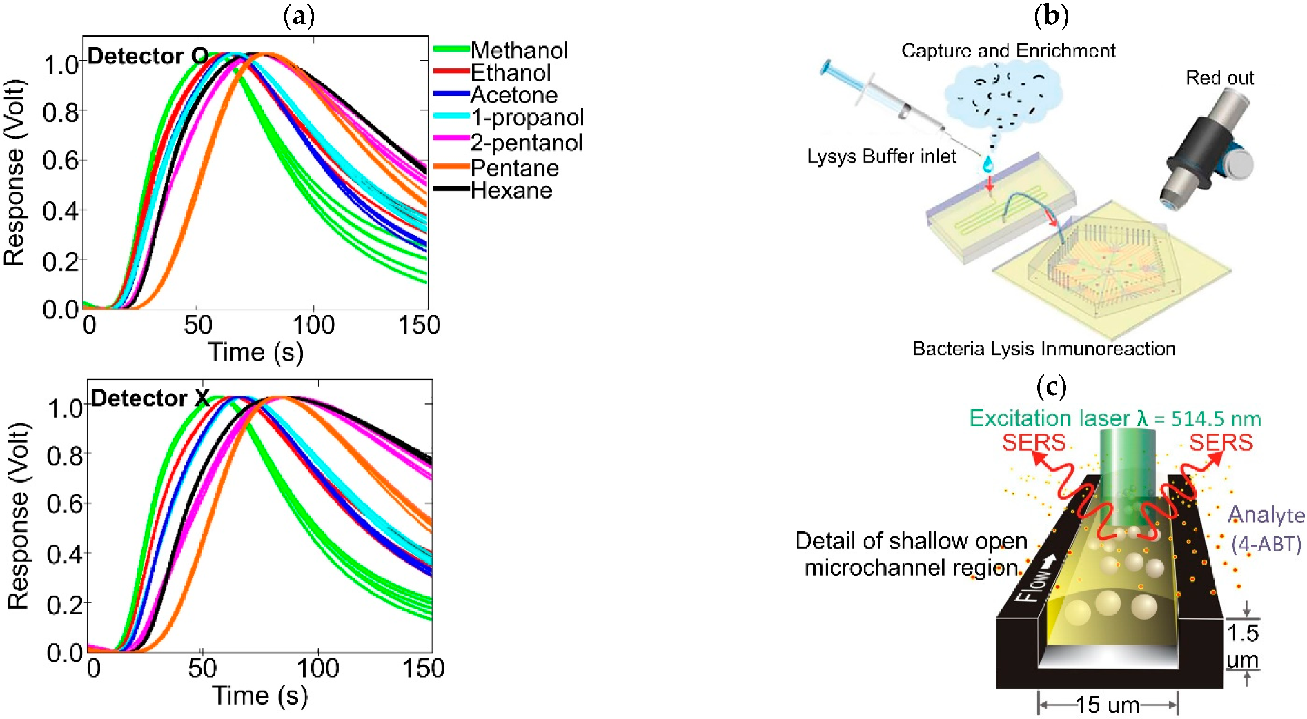 Biosensors 12 00191 g008