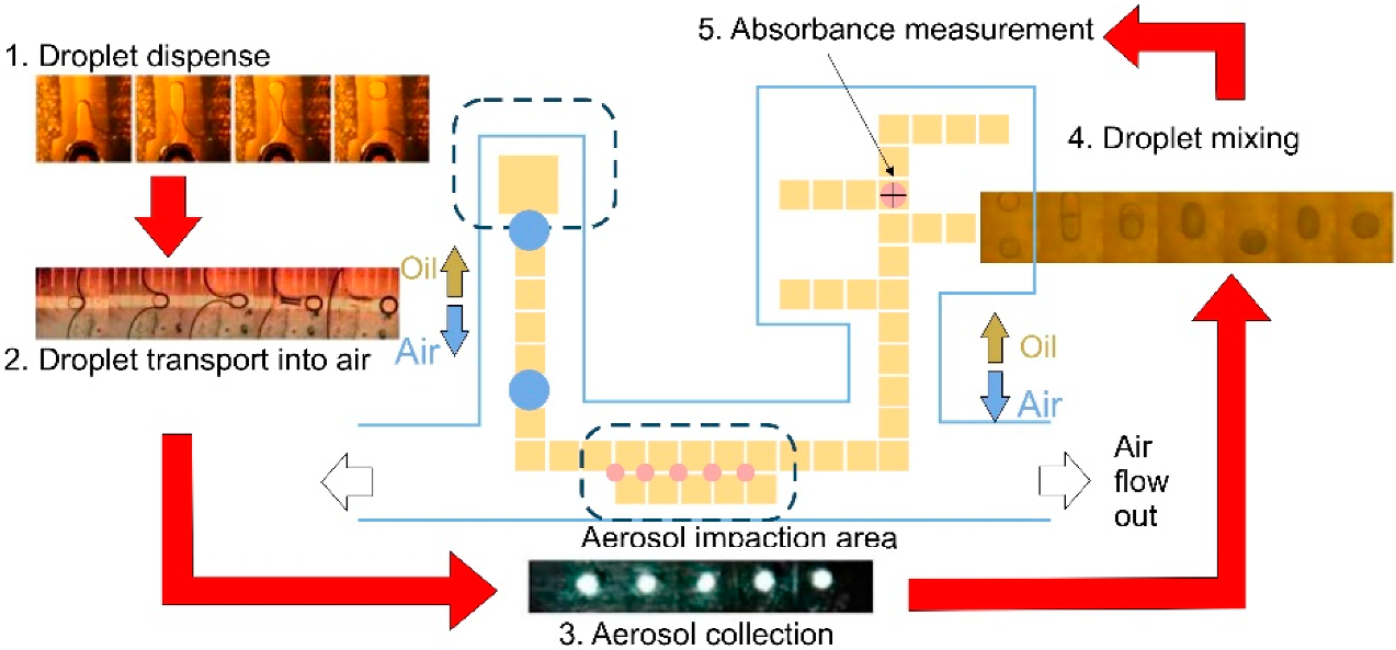 Biosensors 12 00191 g009