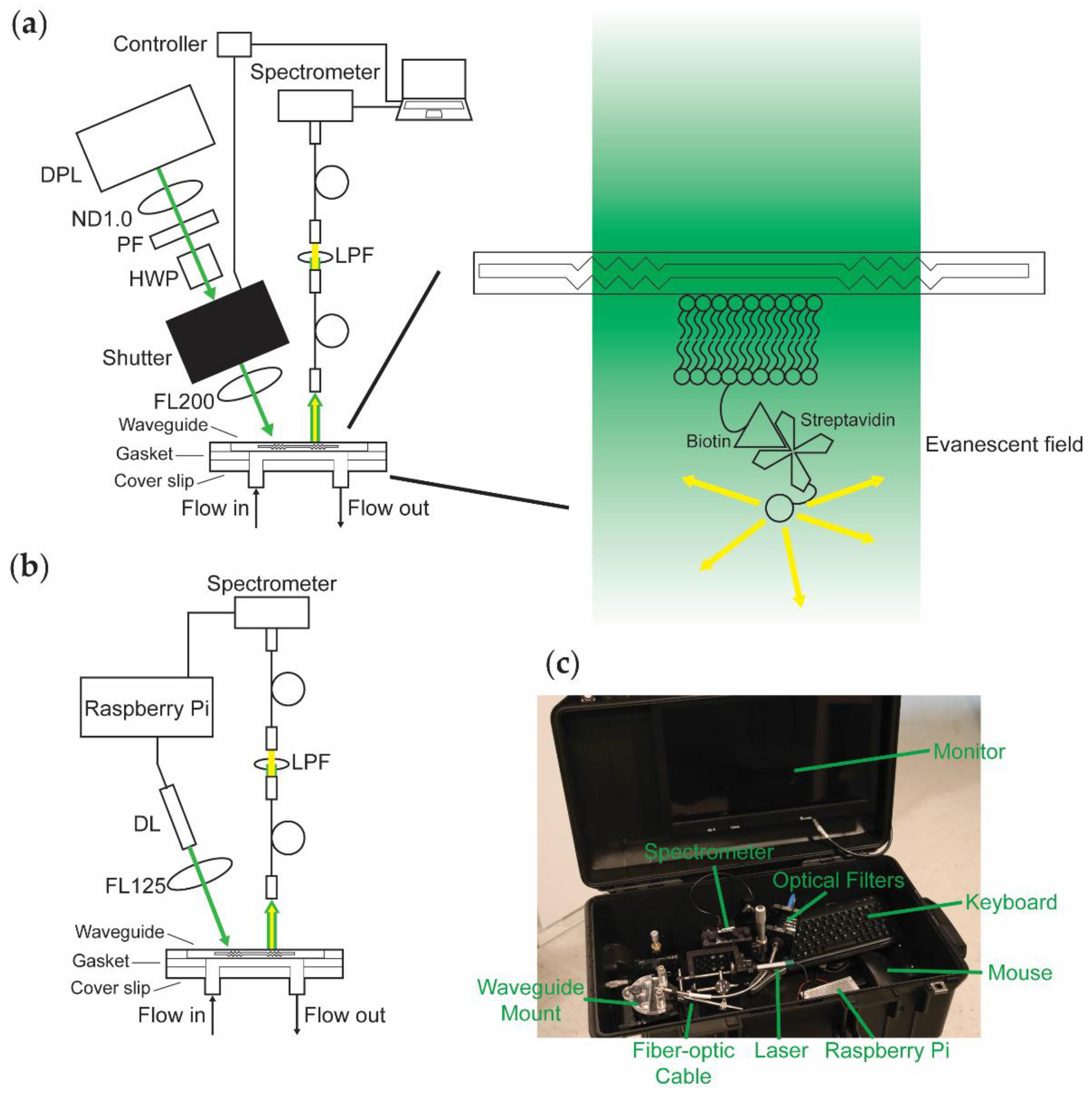 https://www.mdpi.com/biosensors/biosensors-12-00195/article_deploy/html/images/biosensors-12-00195-g001.png