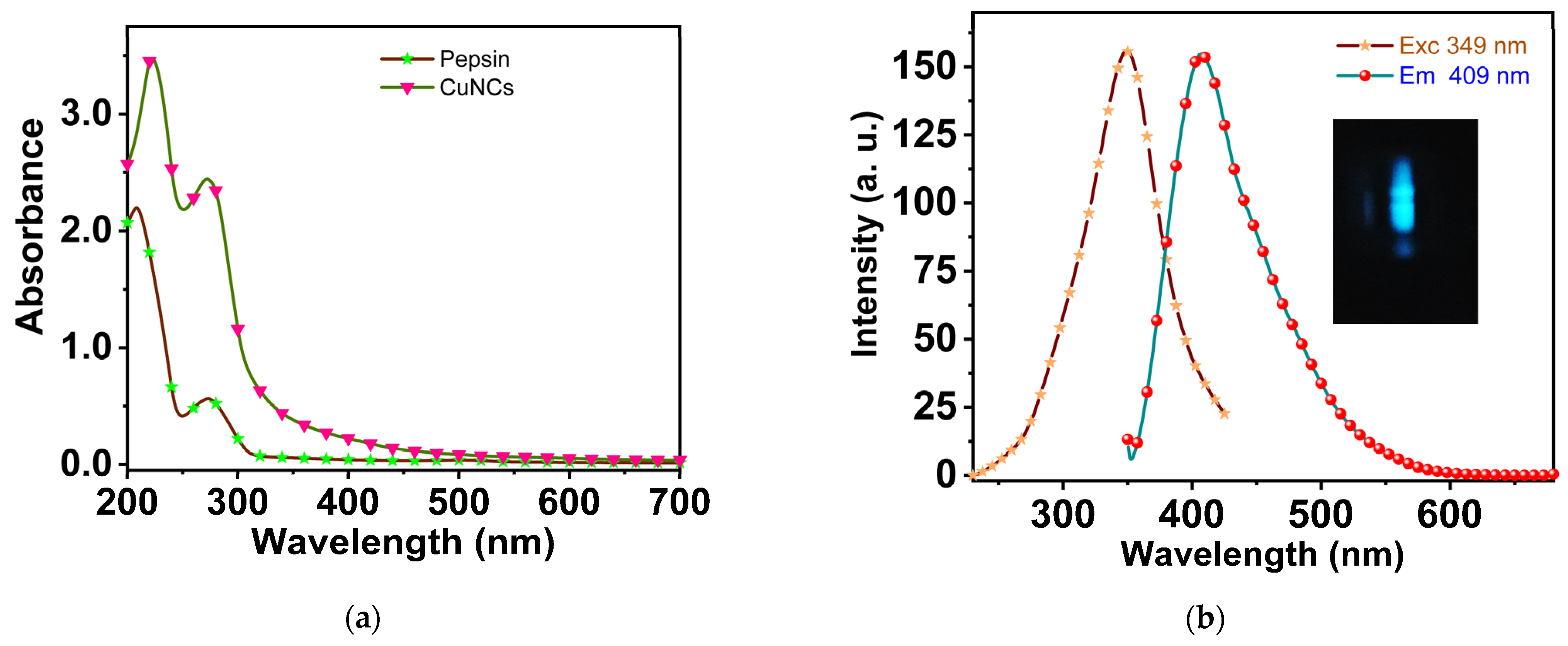Biosensors 12 00197 g001