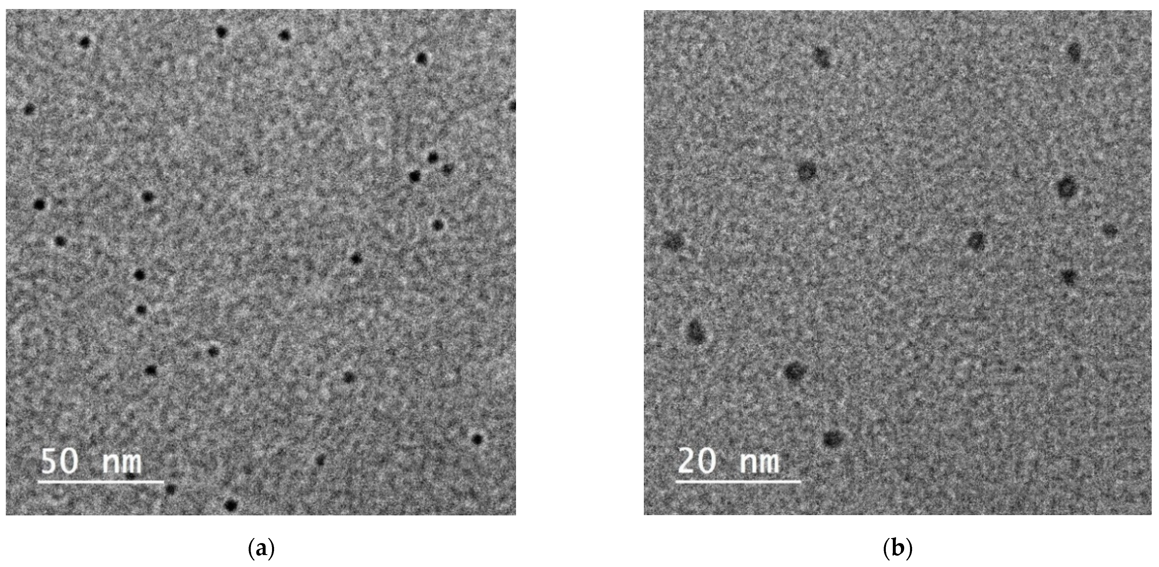 Biosensors 12 00197 g002a