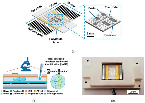 https://www.mdpi.com/biosensors/biosensors-12-00201/article_deploy/html/images/biosensors-12-00201-g001-550.jpg