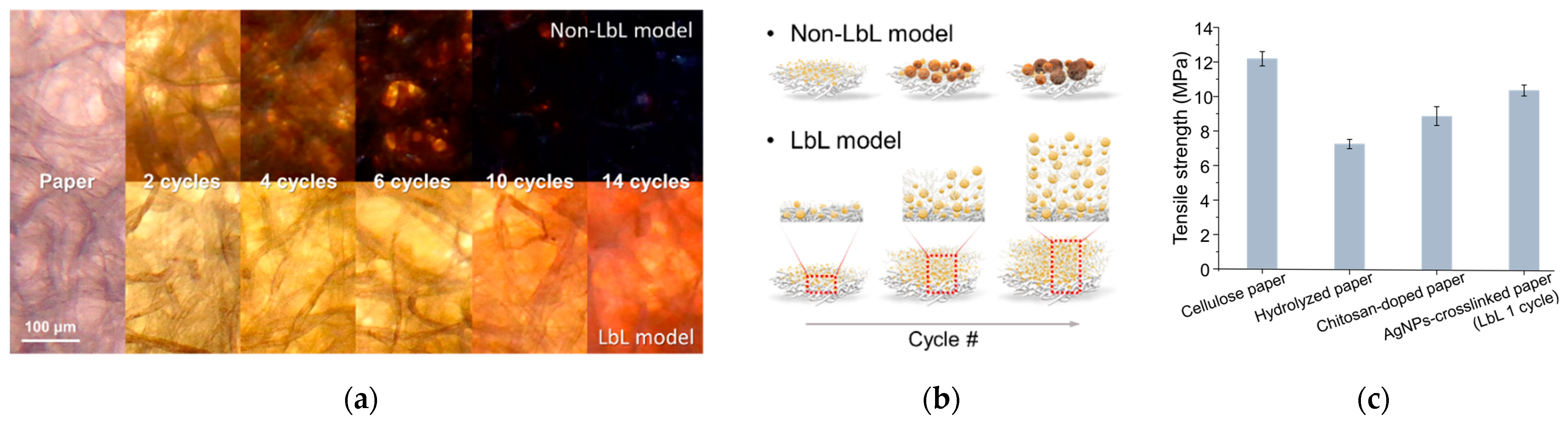 Biosensors 12 00266 g002