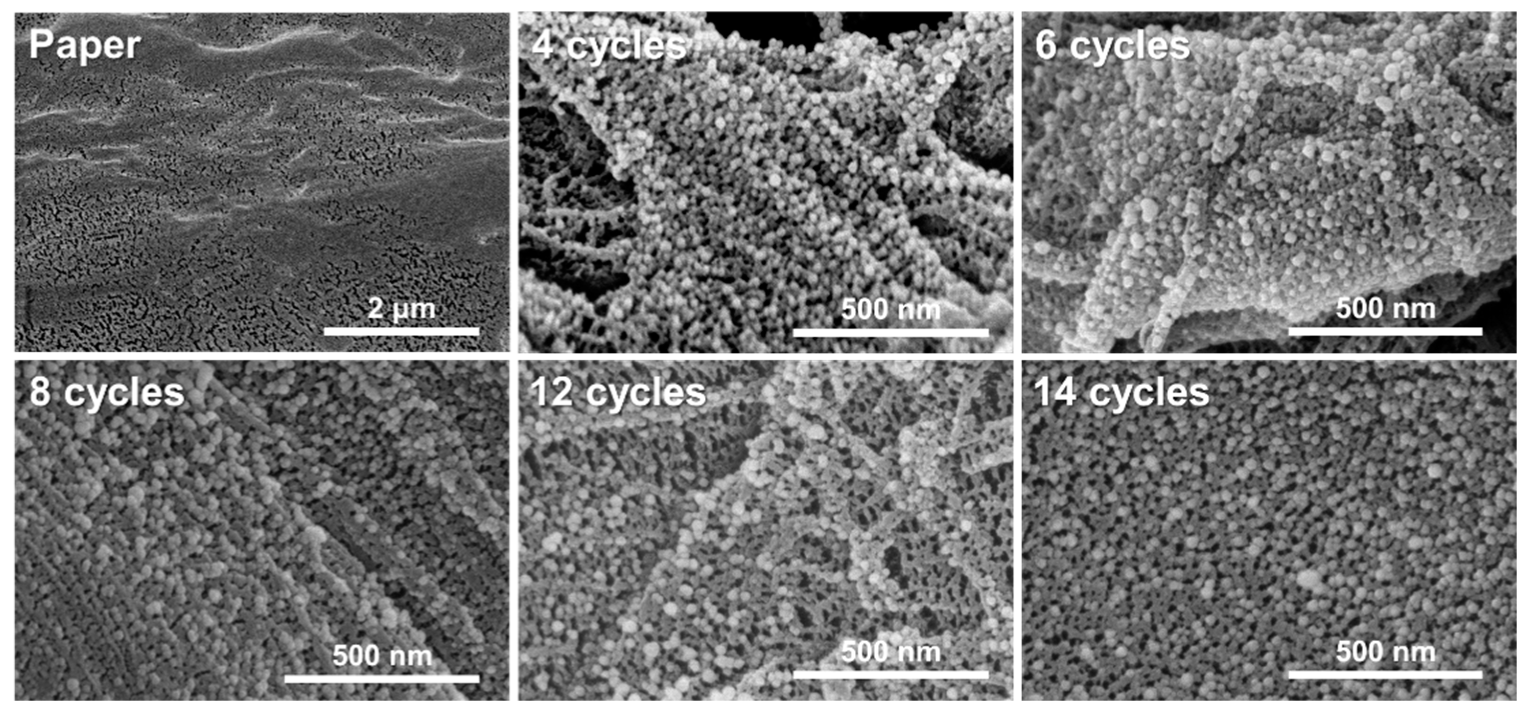 Biosensors 12 00266 g003