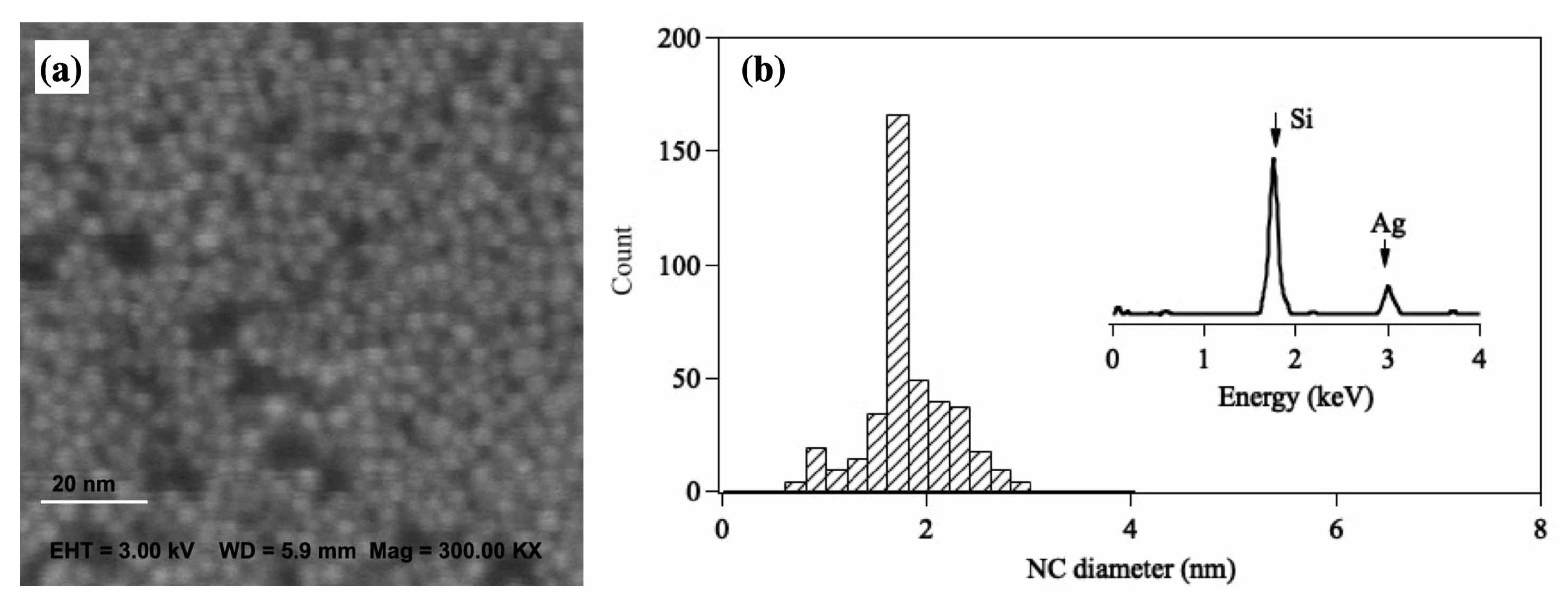 Biosensors 12 00282 g006