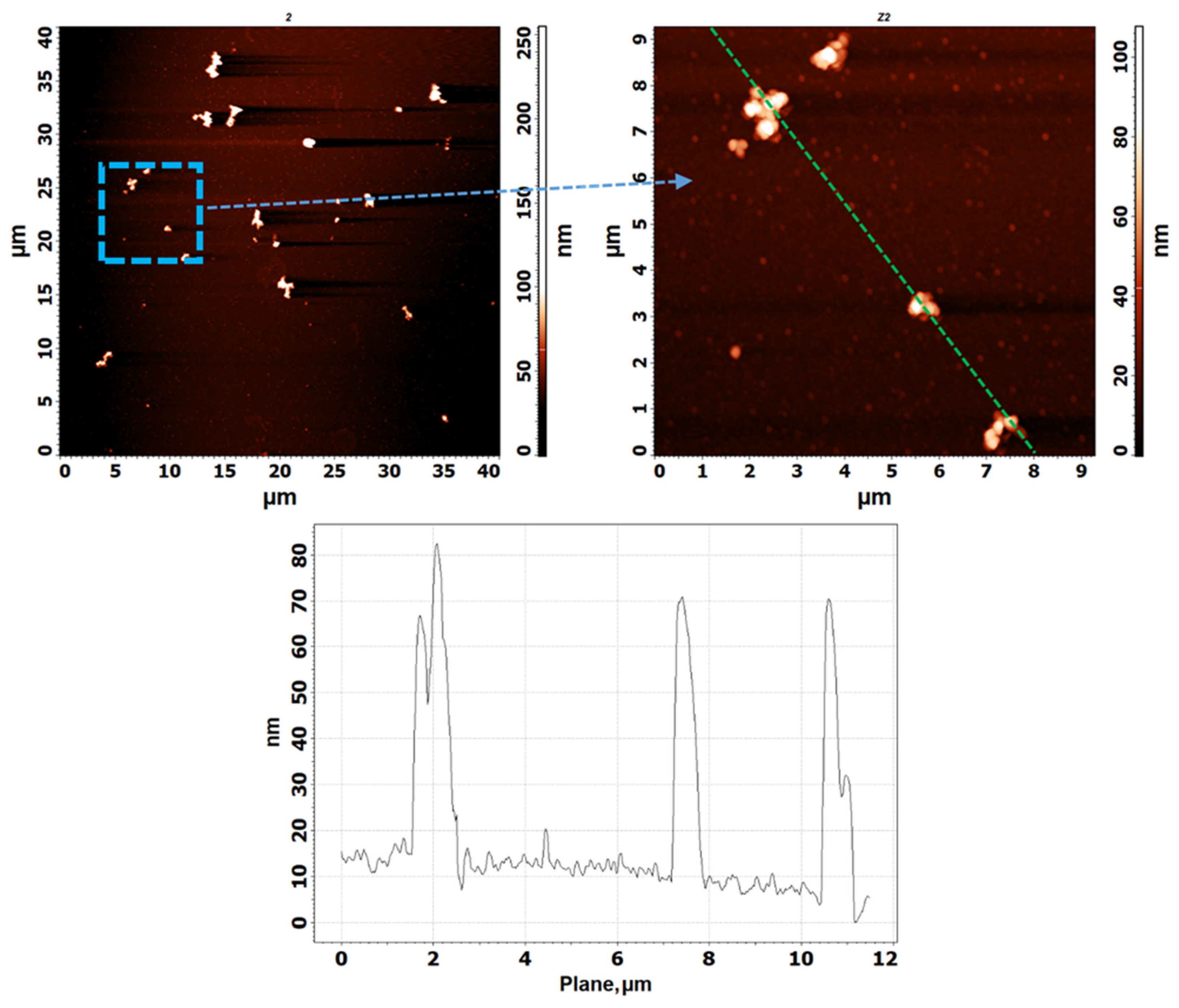 Biosensors 12 00300 g004
