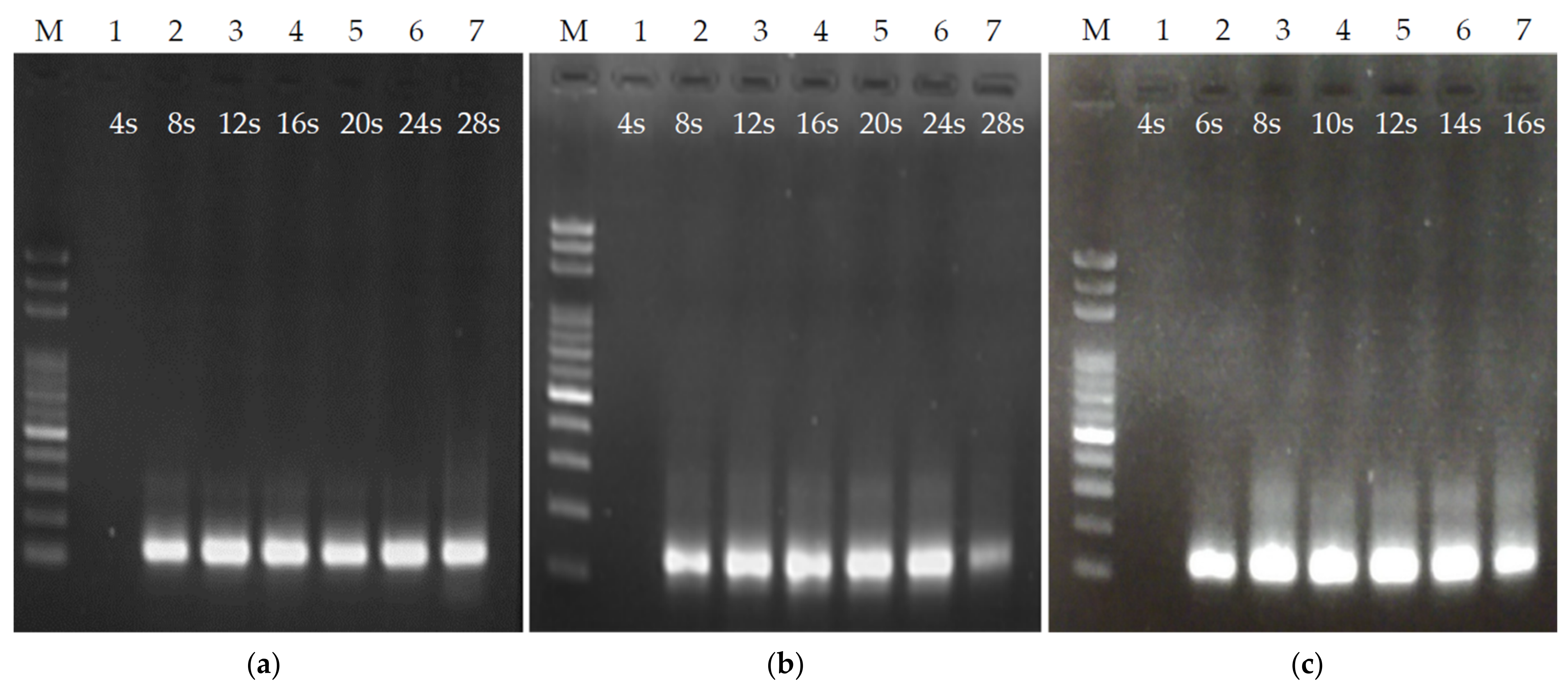 Biosensors 12 00303 g005