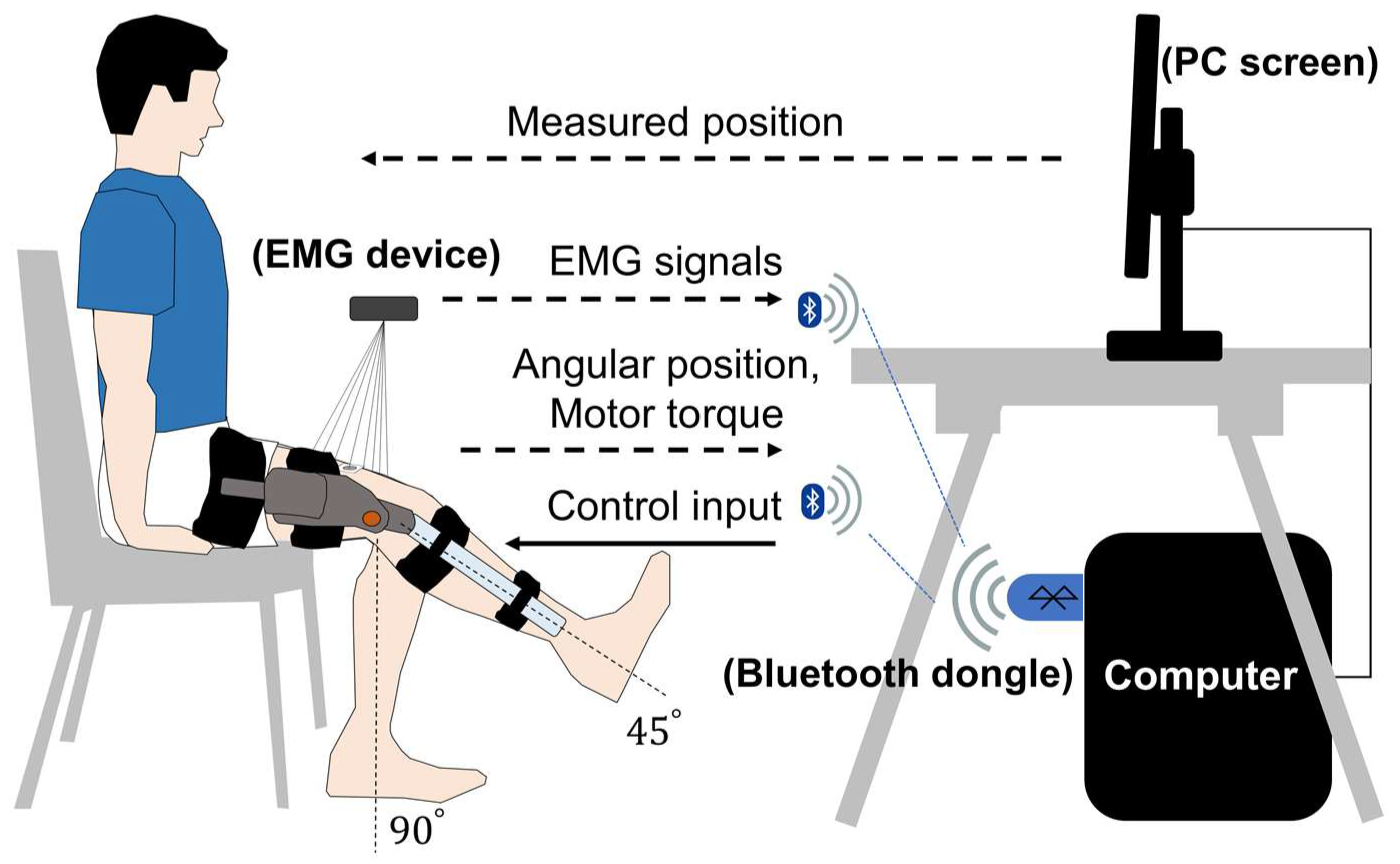 Age-Related Differences in Motor Coordination during Simultaneous Leg  Flexion and Finger Extension: Influence of Temporal Pressure