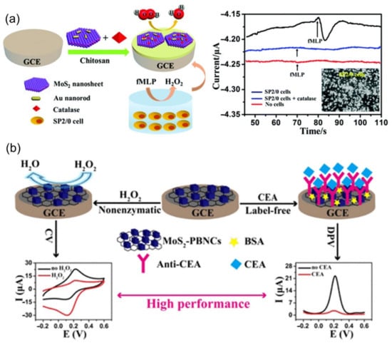 Biosensors Free Full Text Two Dimensional Material Based Electrochemical Sensors Biosensors