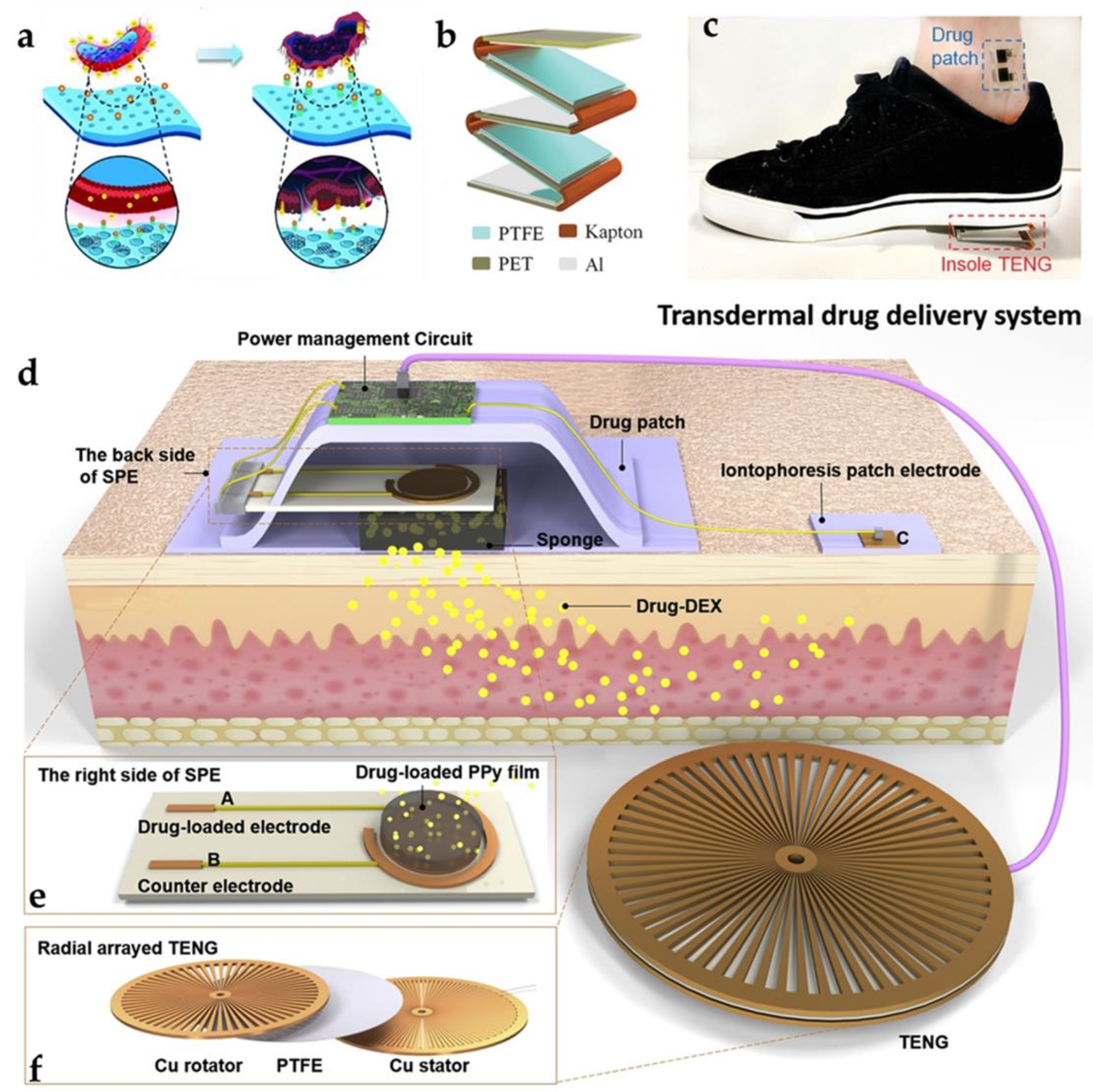 Biosensors 12 00323 g008