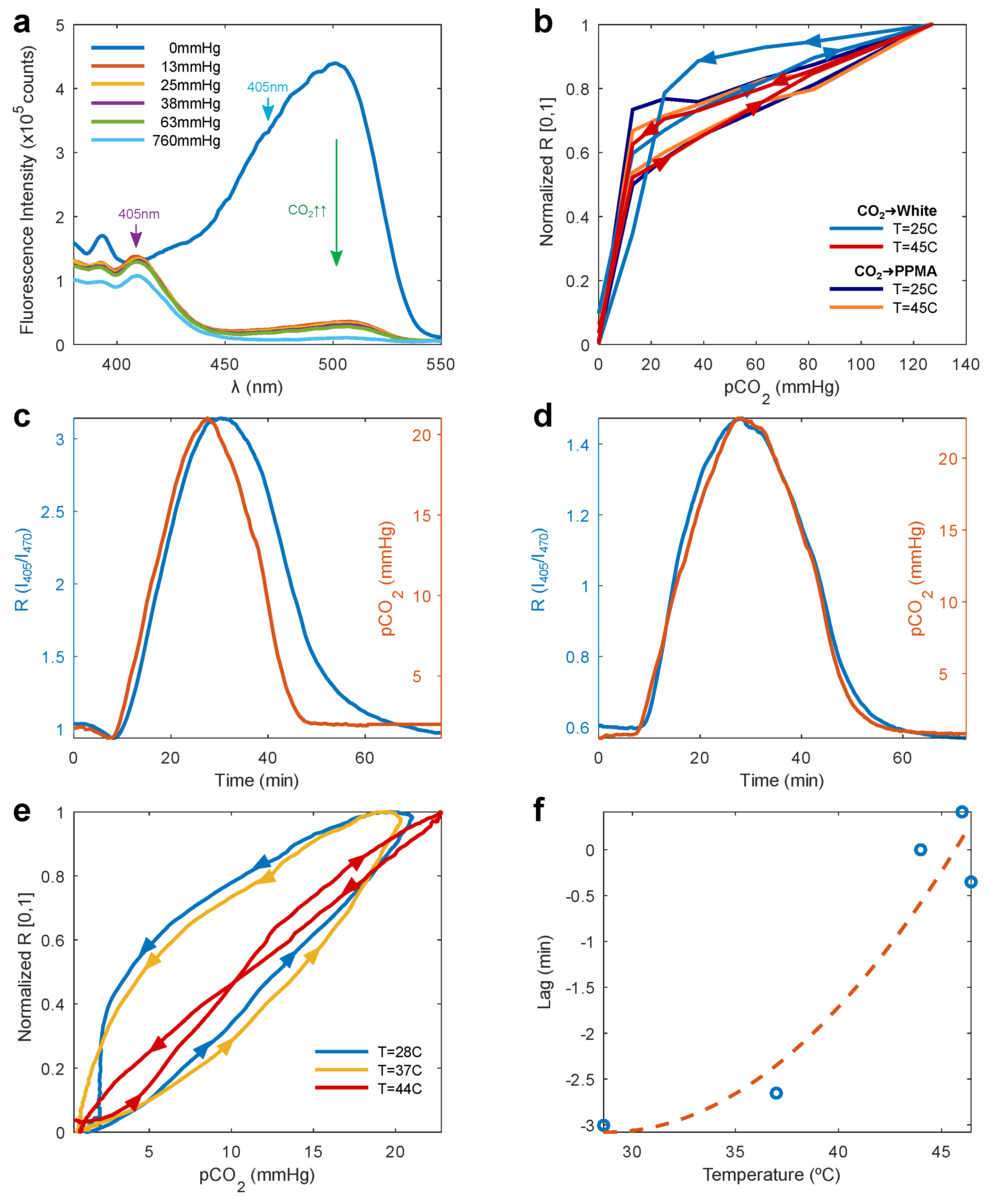 Biosensors 12 00333 g004