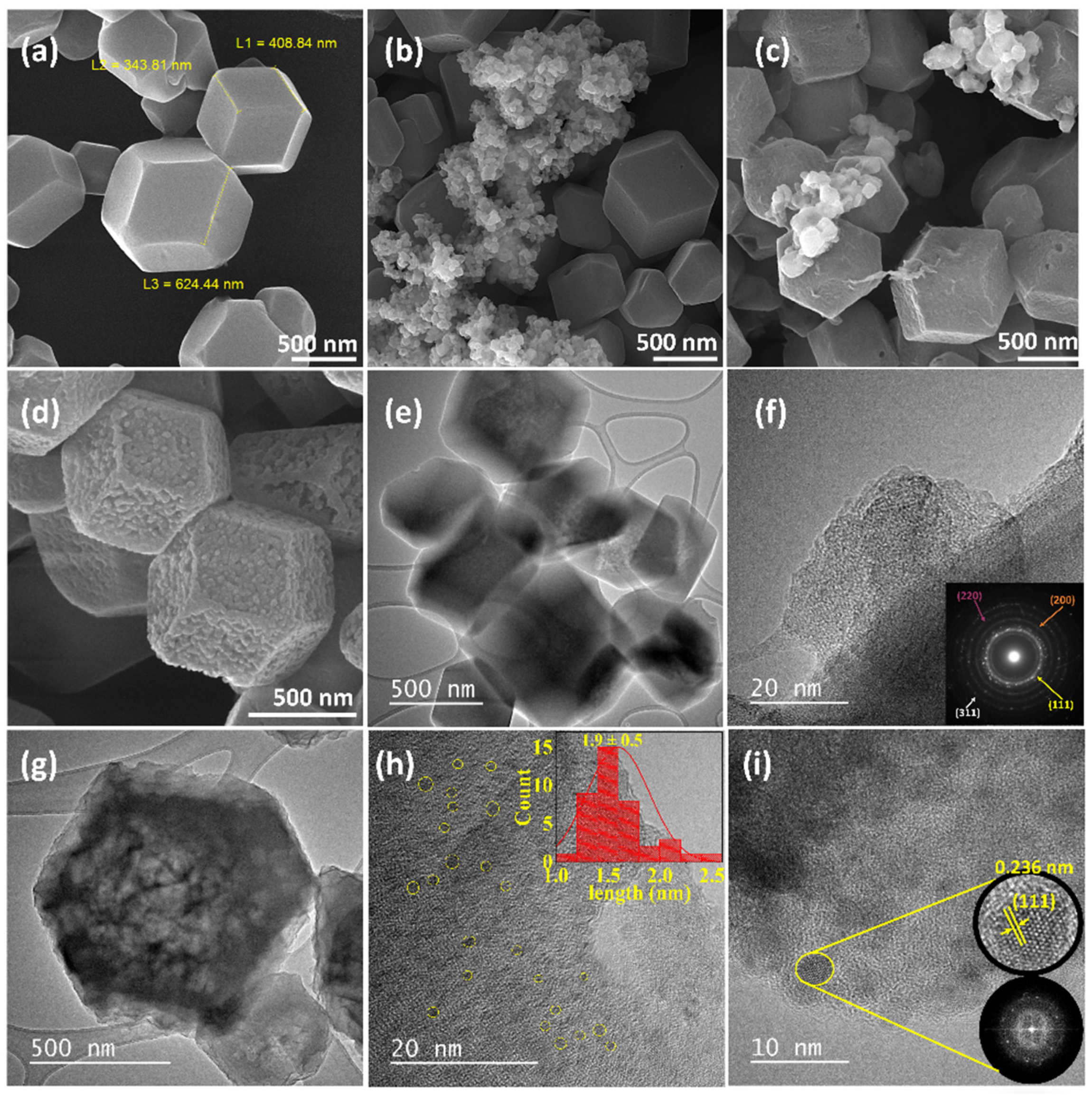 Biosensors 12 00337 g001