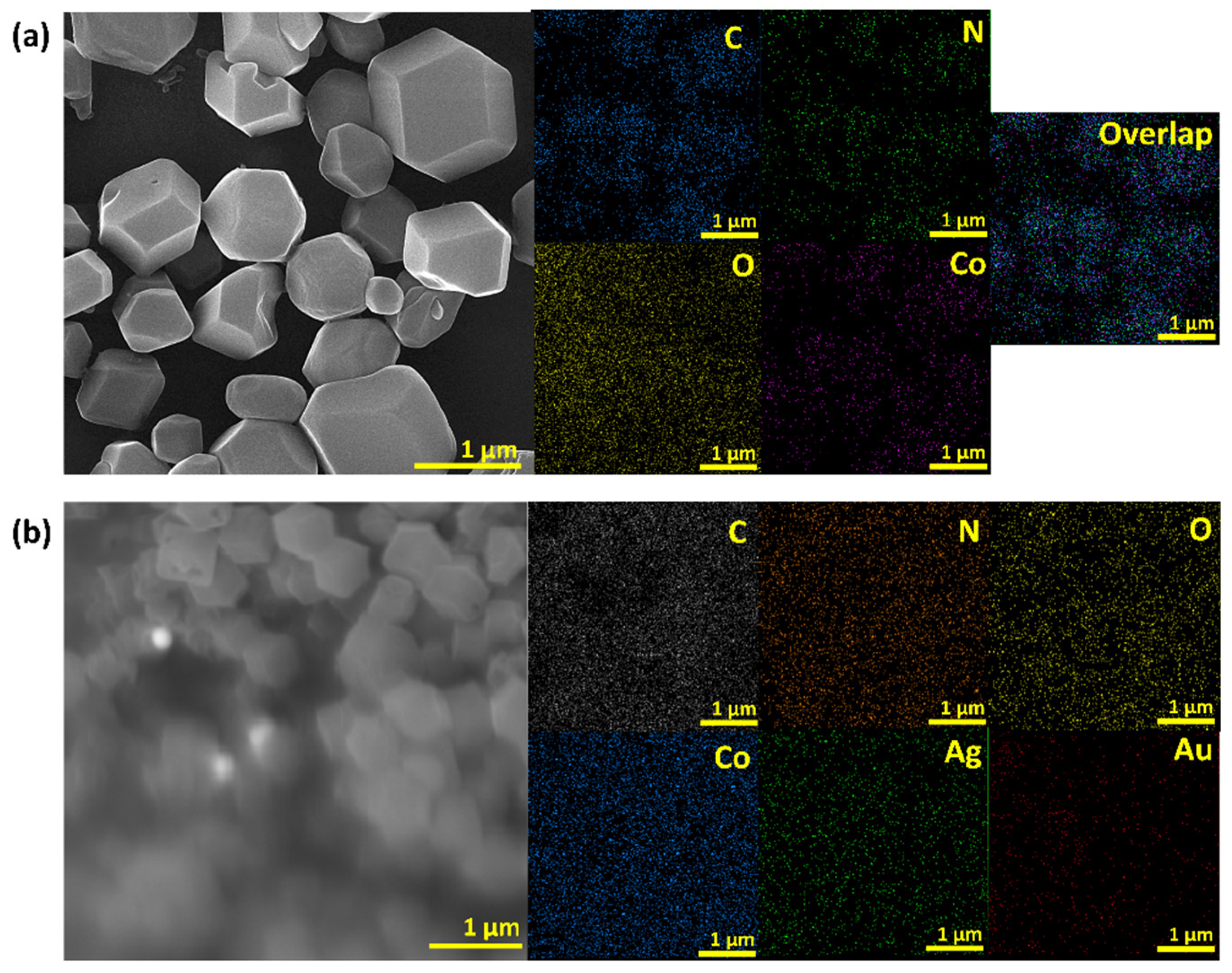 Biosensors 12 00337 g002