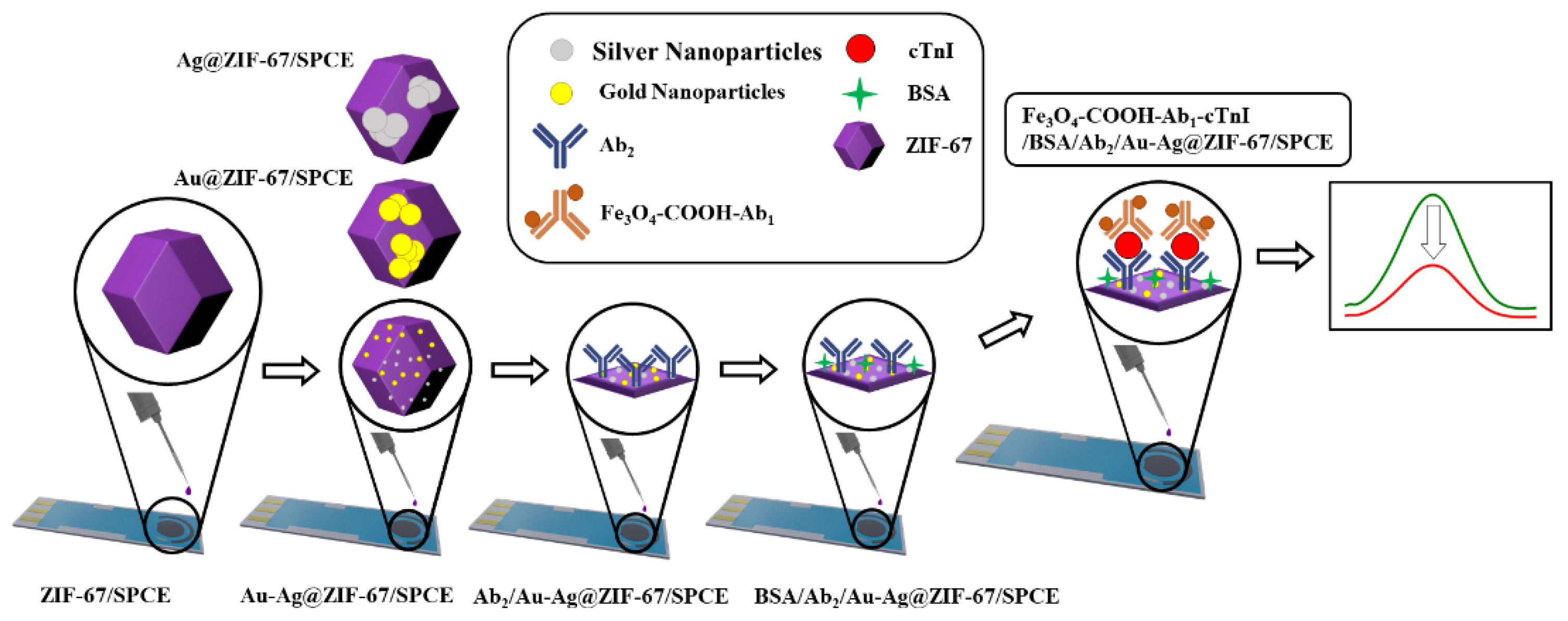 Biosensors 12 00337 g004