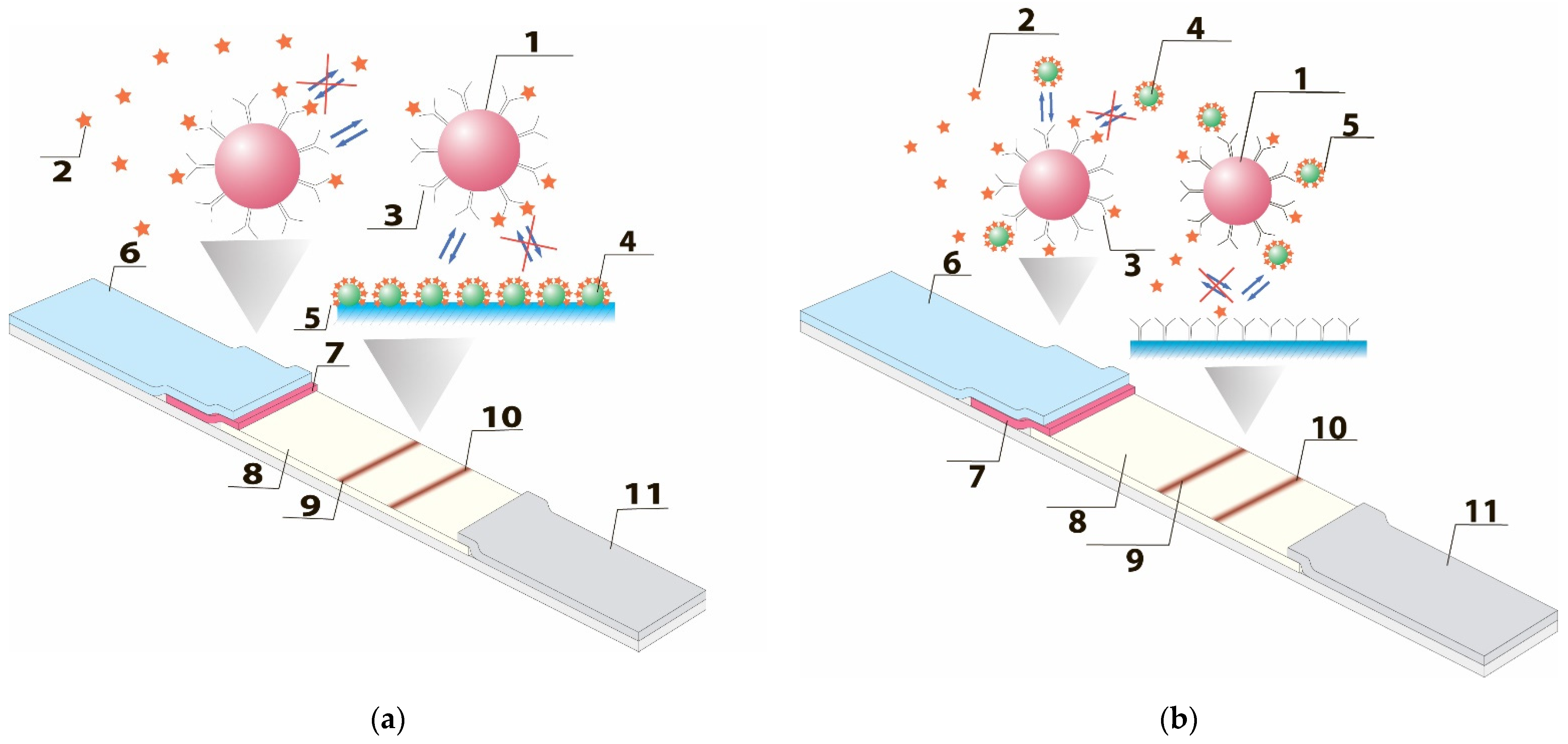 Biosensors Free Full Text Double Competitive Immunodetection Of Small Analyte Realization