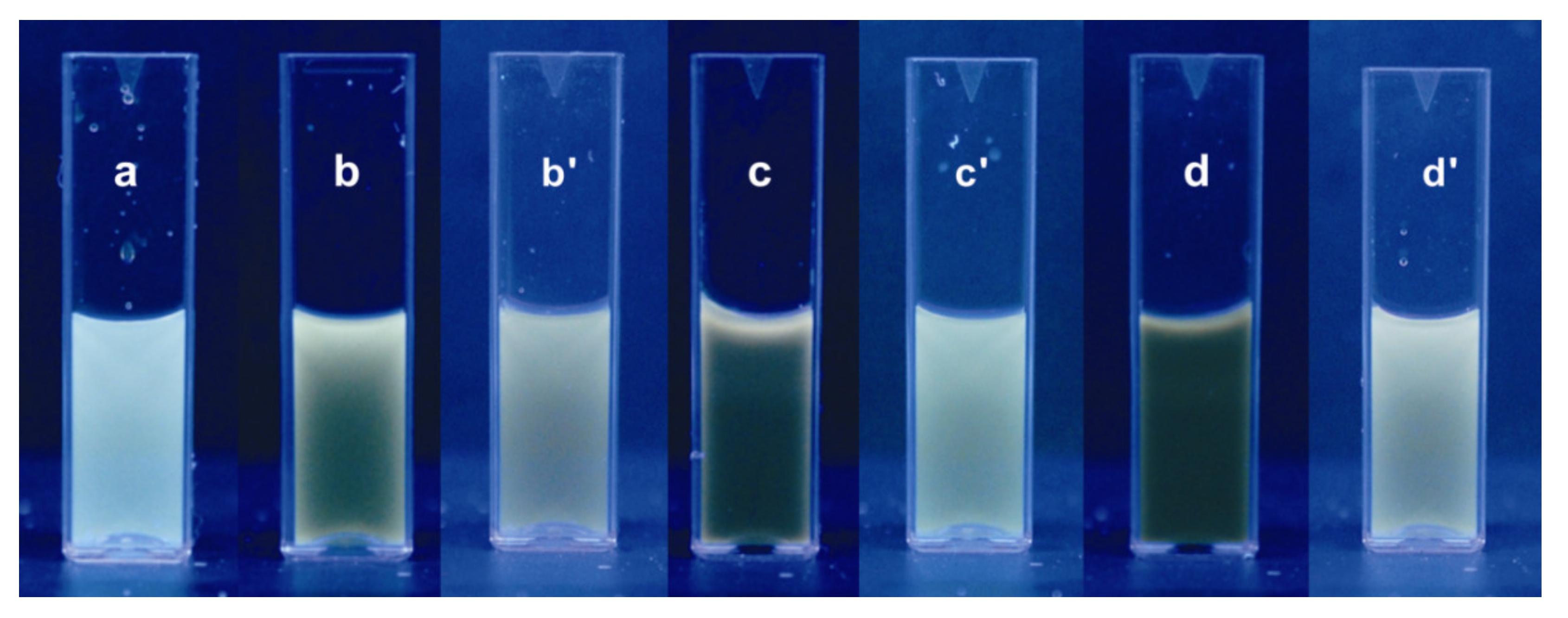 Biosensors 12 00360 g002
