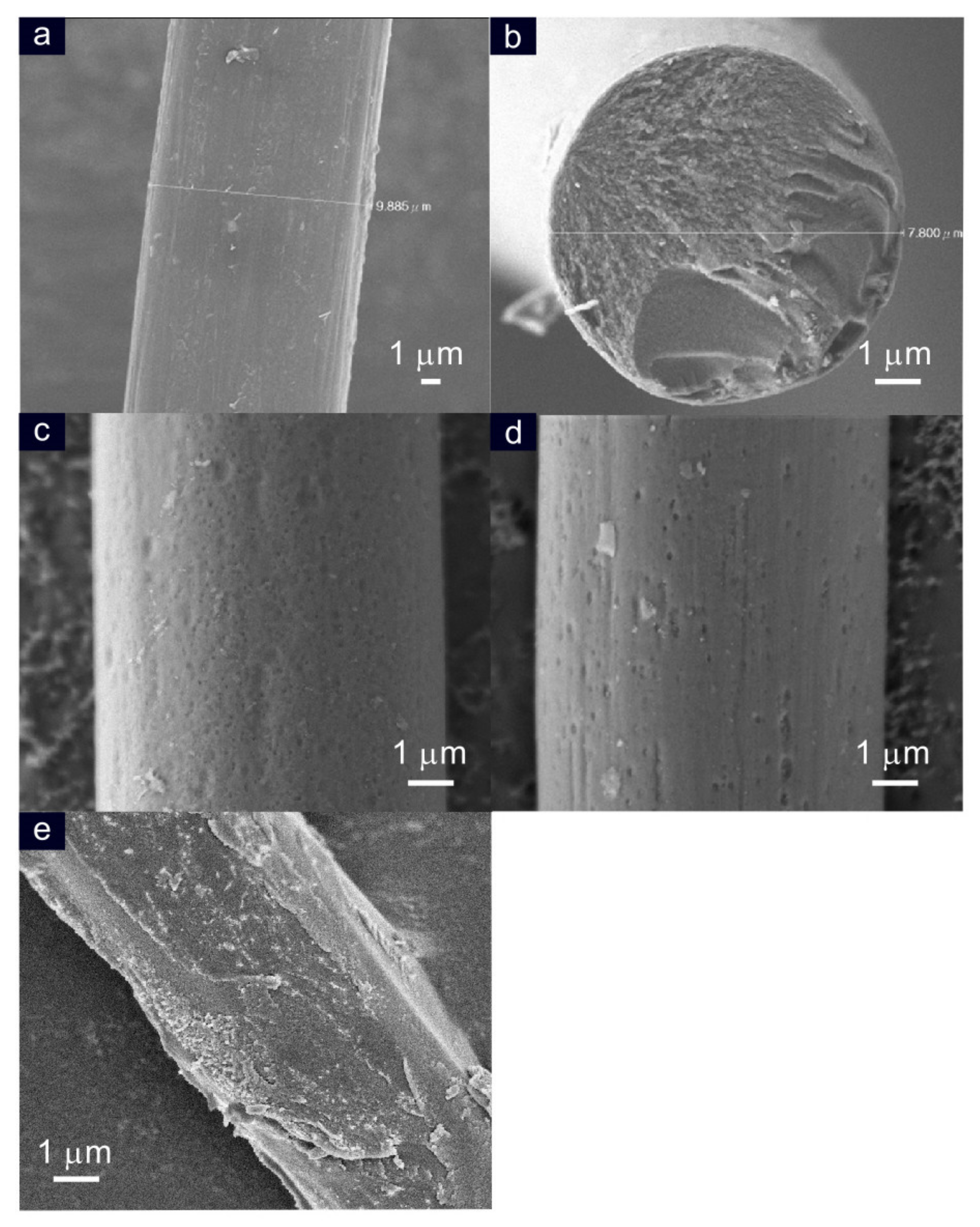 Biosensors 12 00360 g005