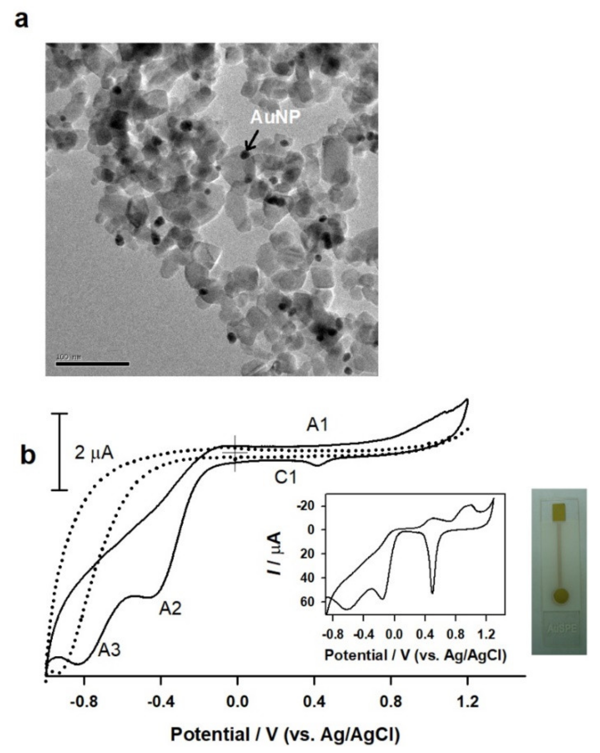 Biosensors 12 00360 g011