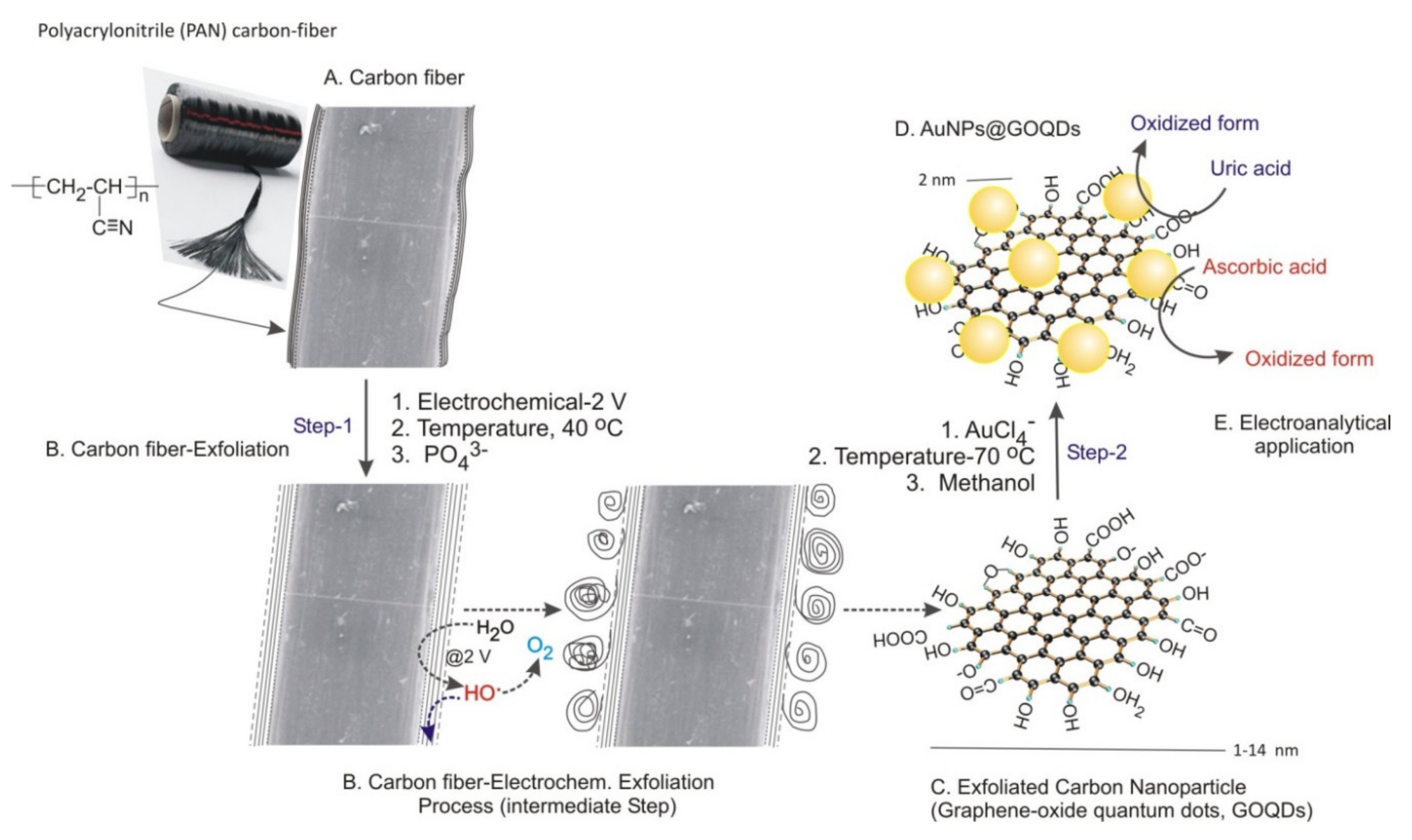 Biosensors 12 00360 sch001