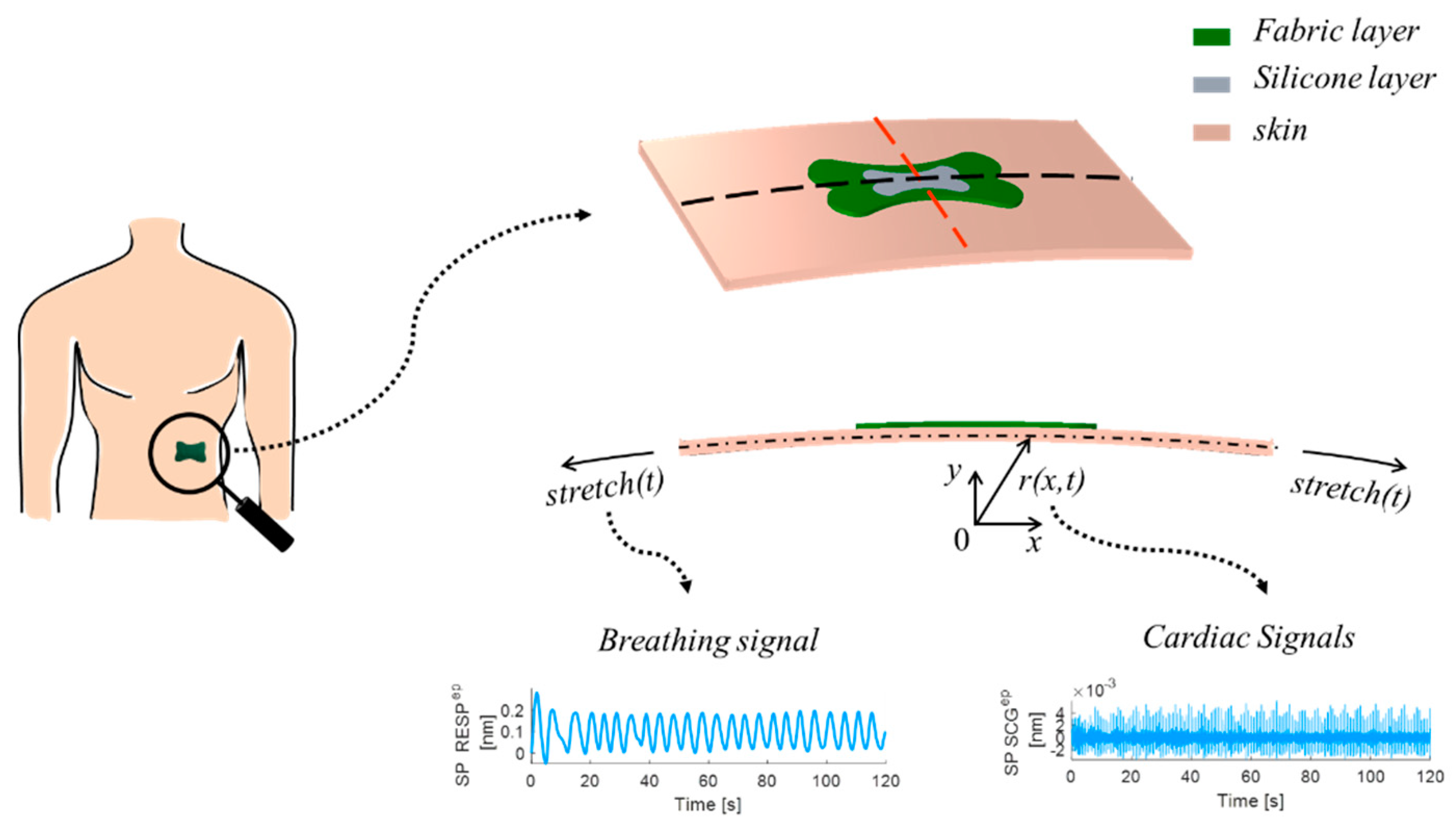 Biosensors 12 00363 g003