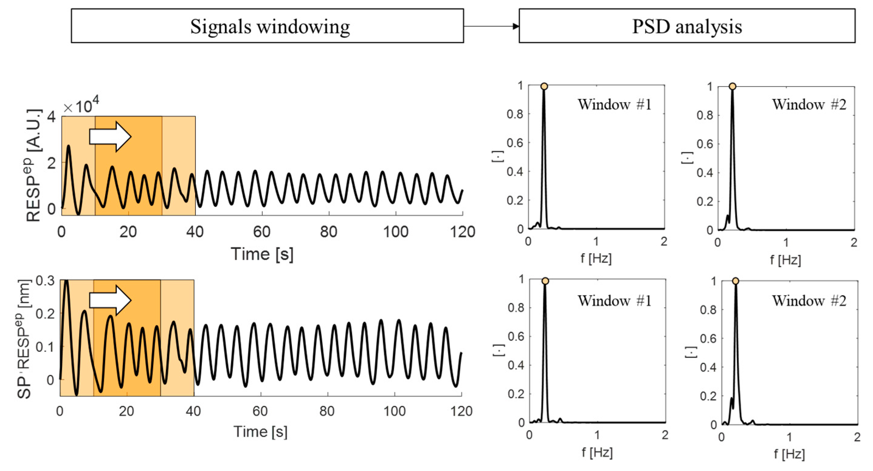 Biosensors 12 00363 g010