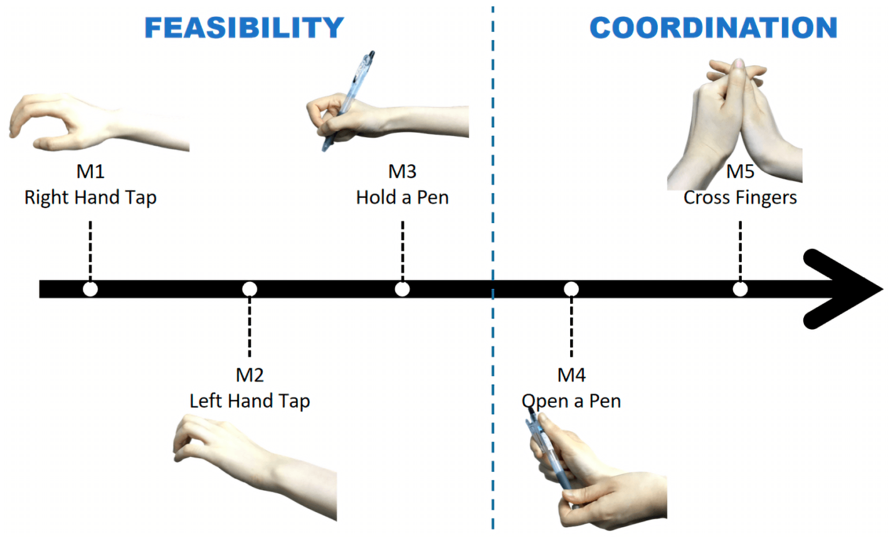 Biosensors 12 00384 g001