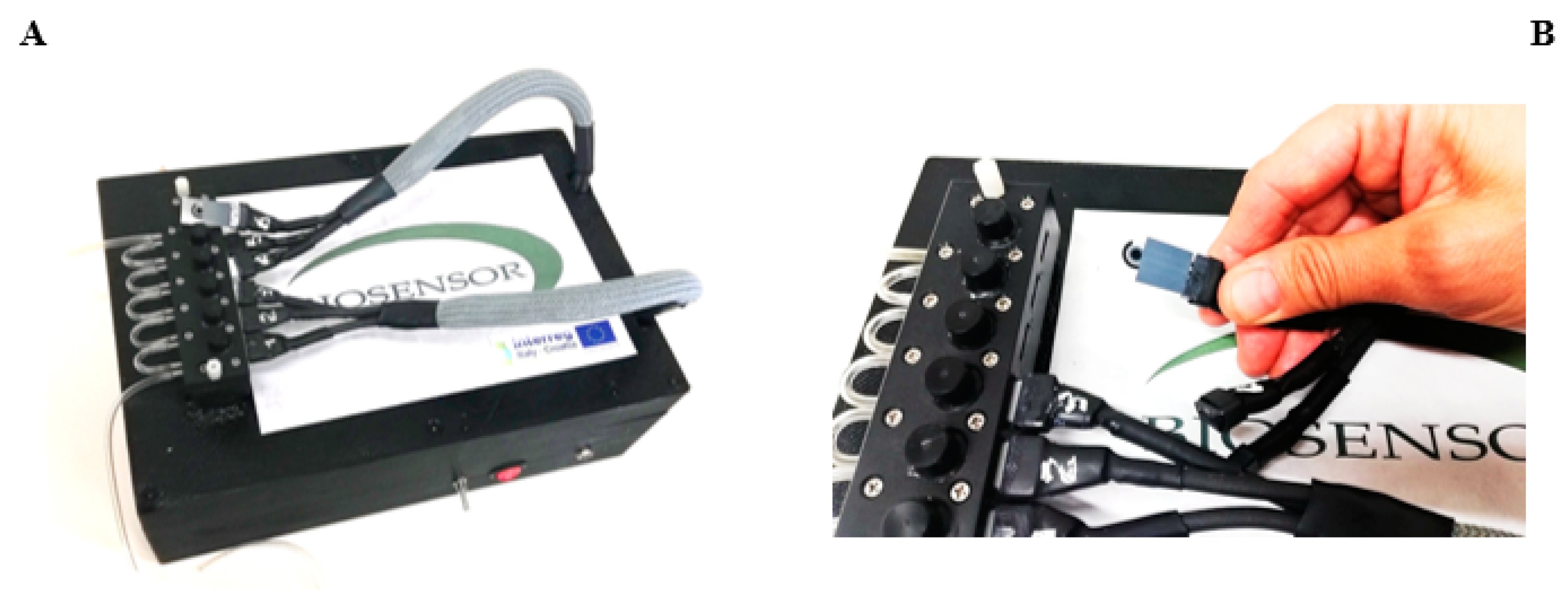 Biosensors 12 00401 g001