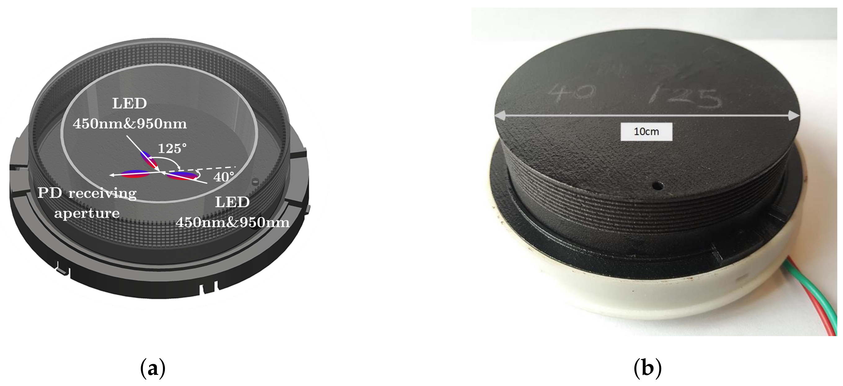 Biosensors 12 00436 g004