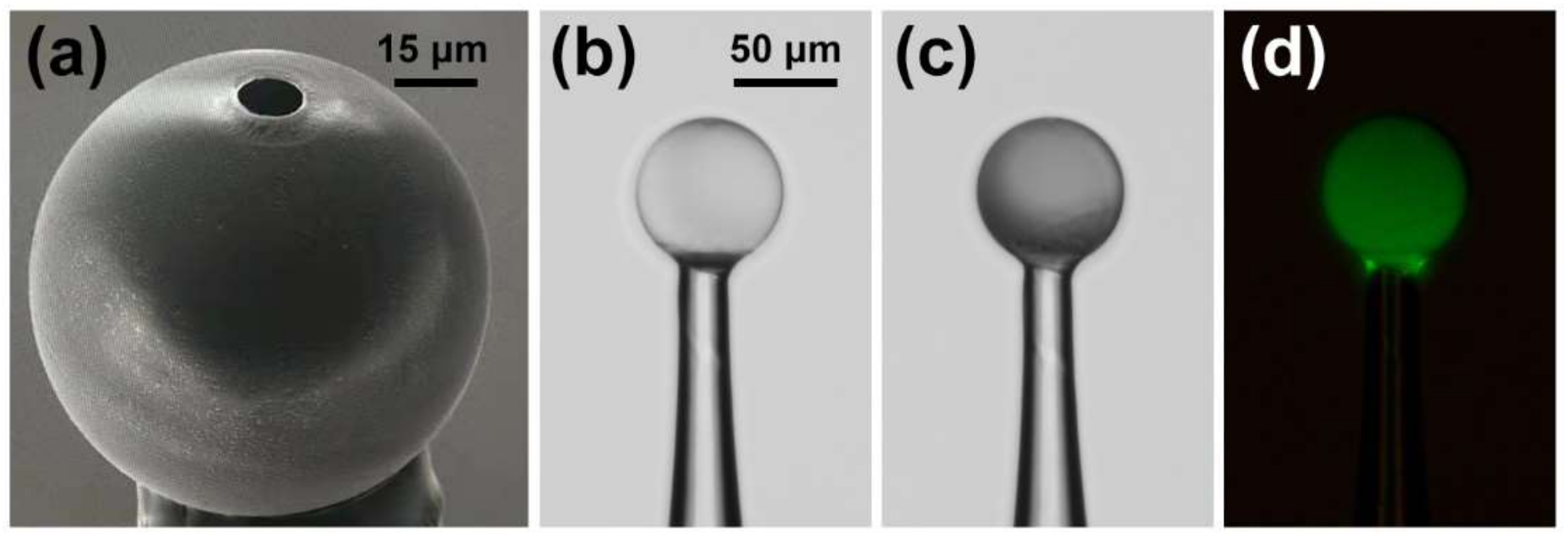 Biosensors 12 00439 g002