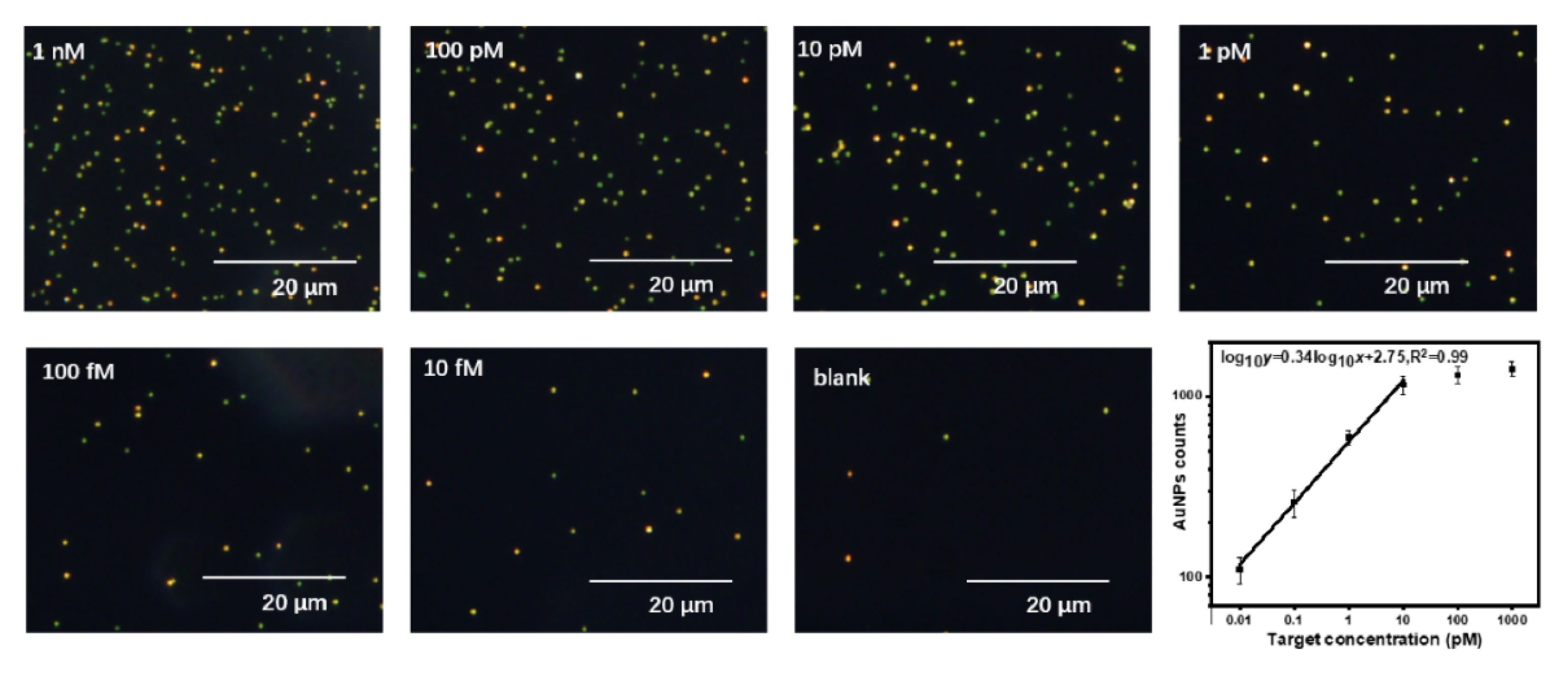 Biosensors 12 00448 g003