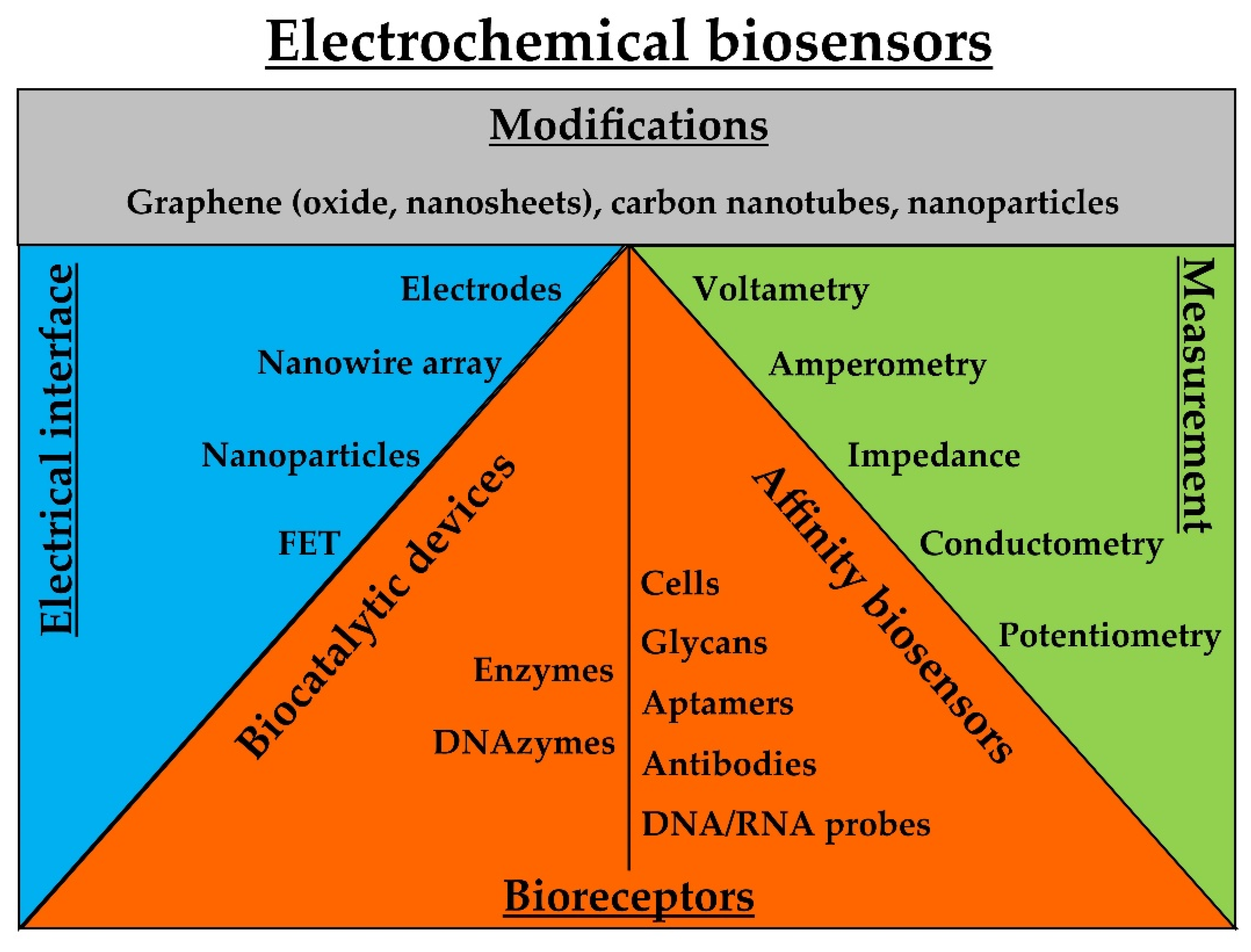 Biosensors 12 00455 g004