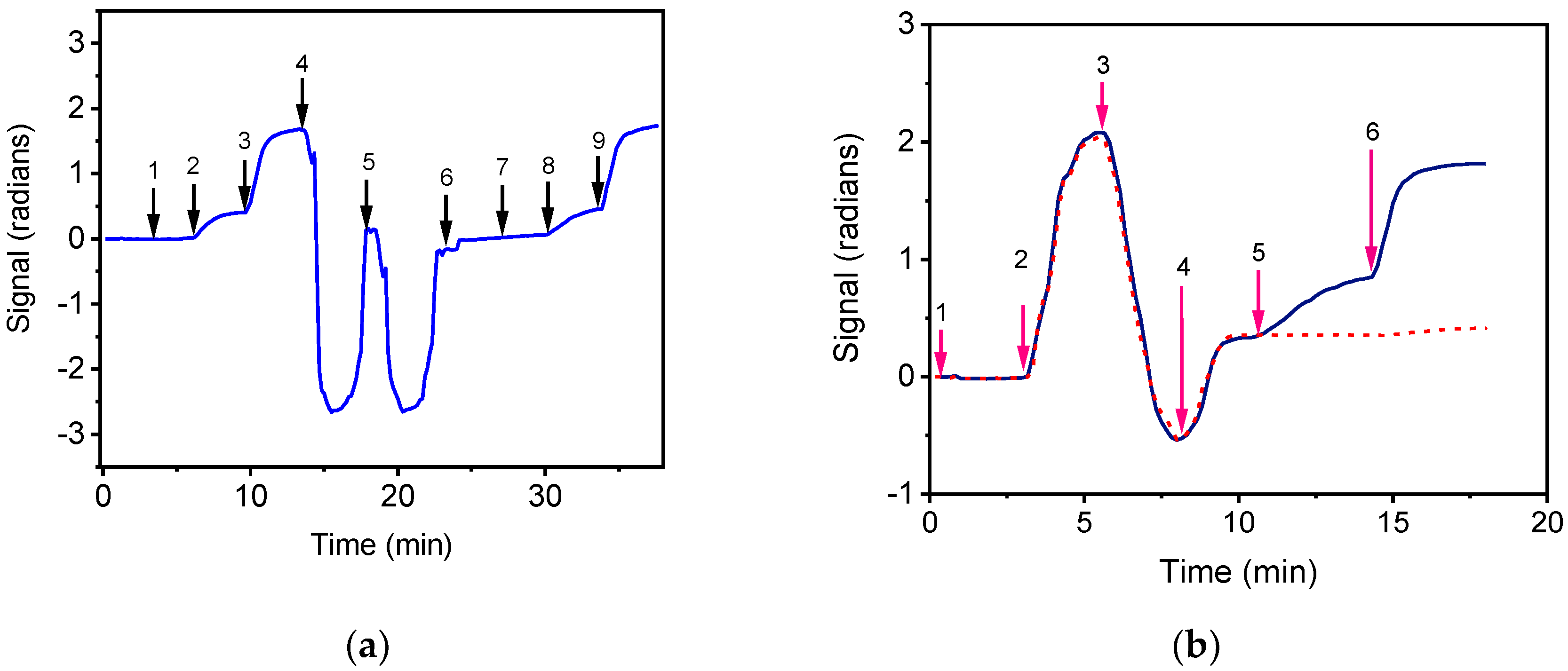 Biosensors 12 00507 g003 Biosensors 12 00507 g003