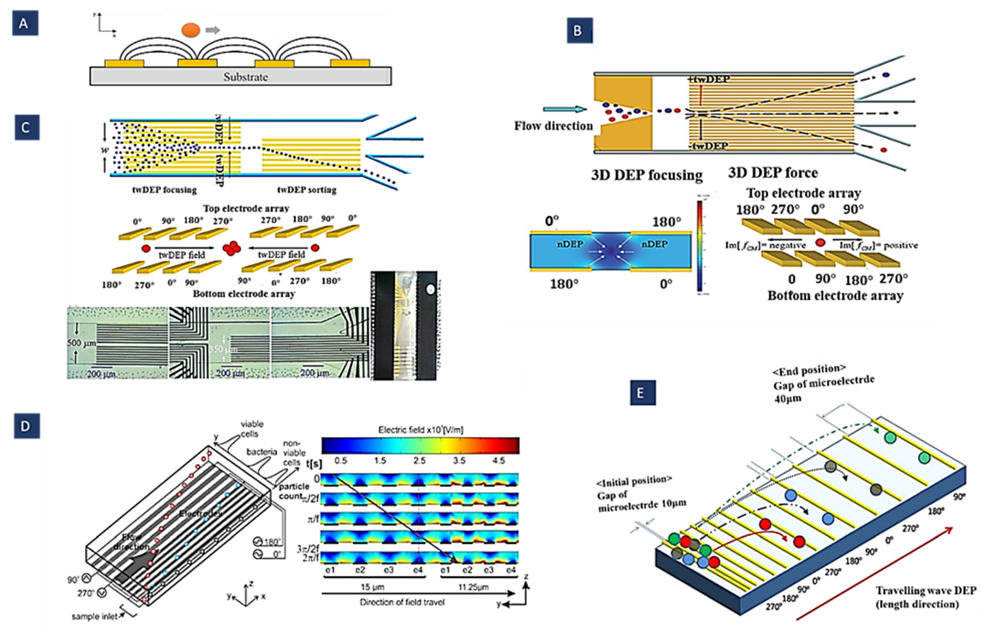 Biosensors 12 00510 g006