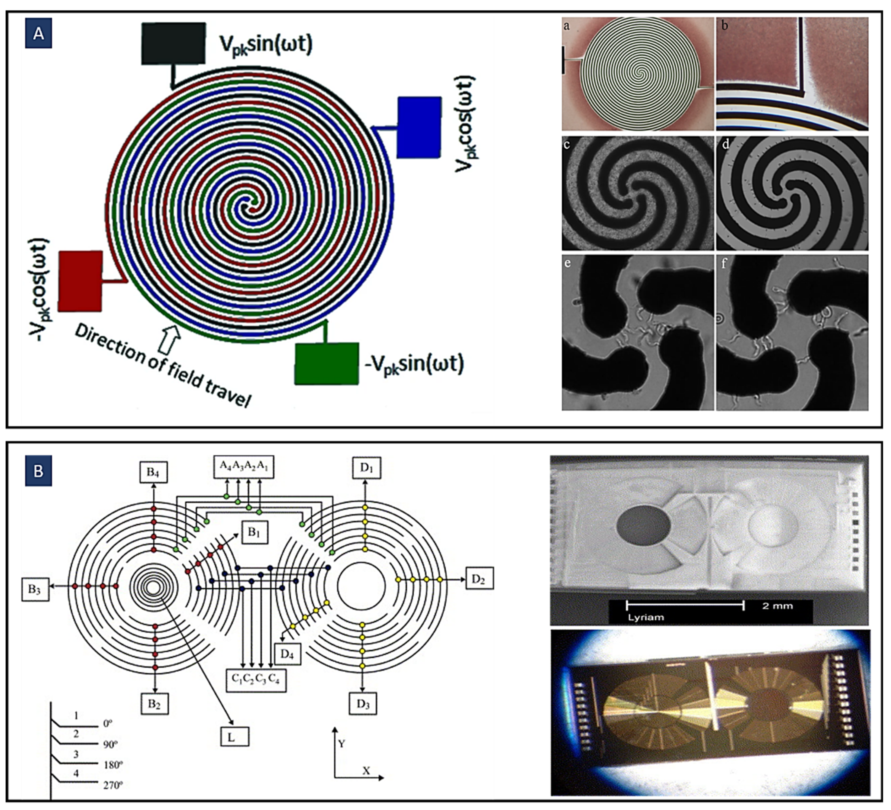 Biosensors 12 00510 g007