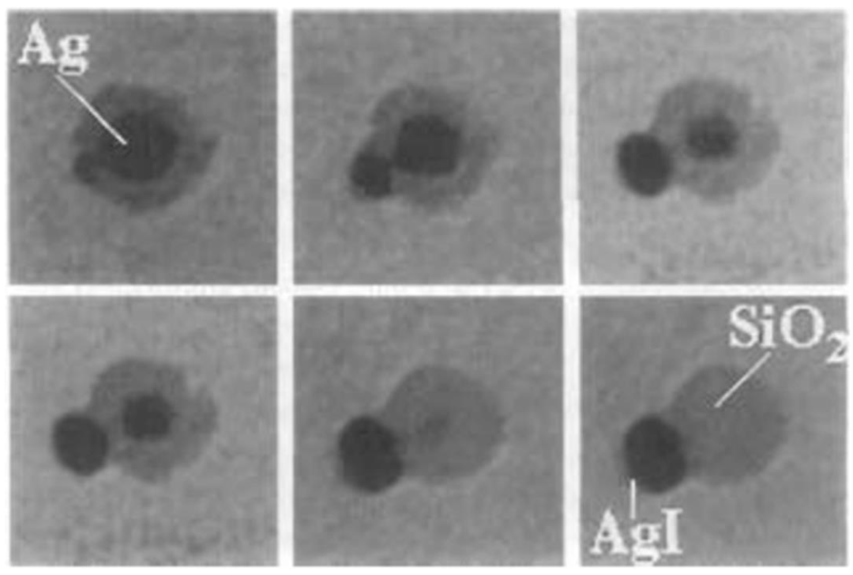 Biosensors 12 00511 g009