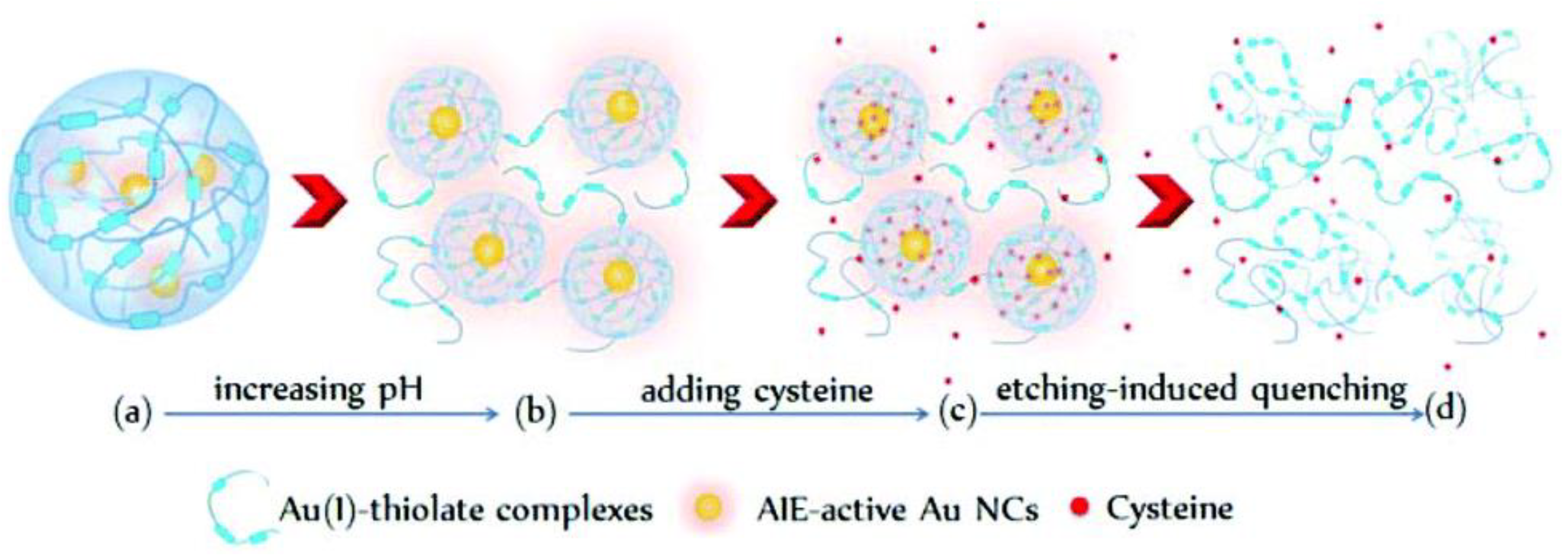 Biosensors 12 00511 g010