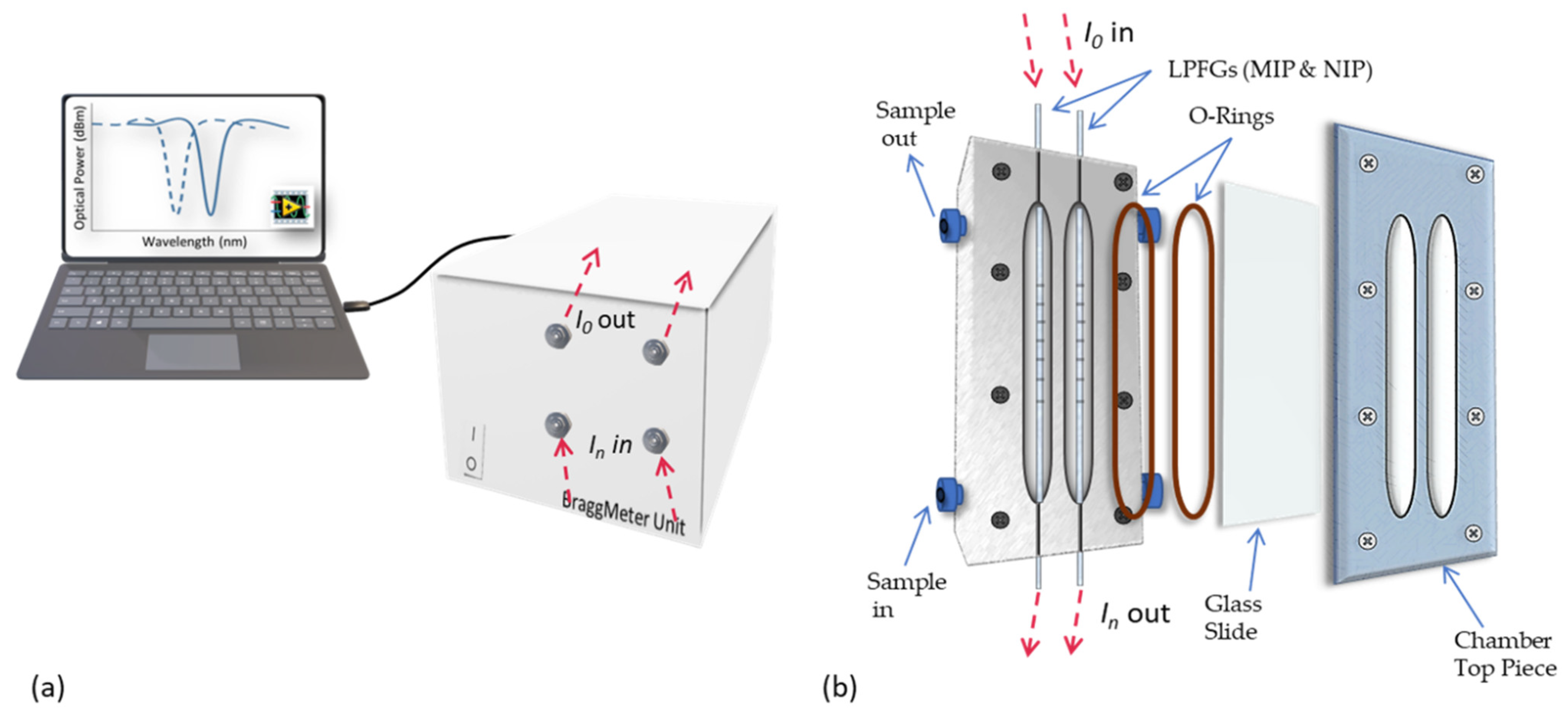 Biosensors 12 00515 g002
