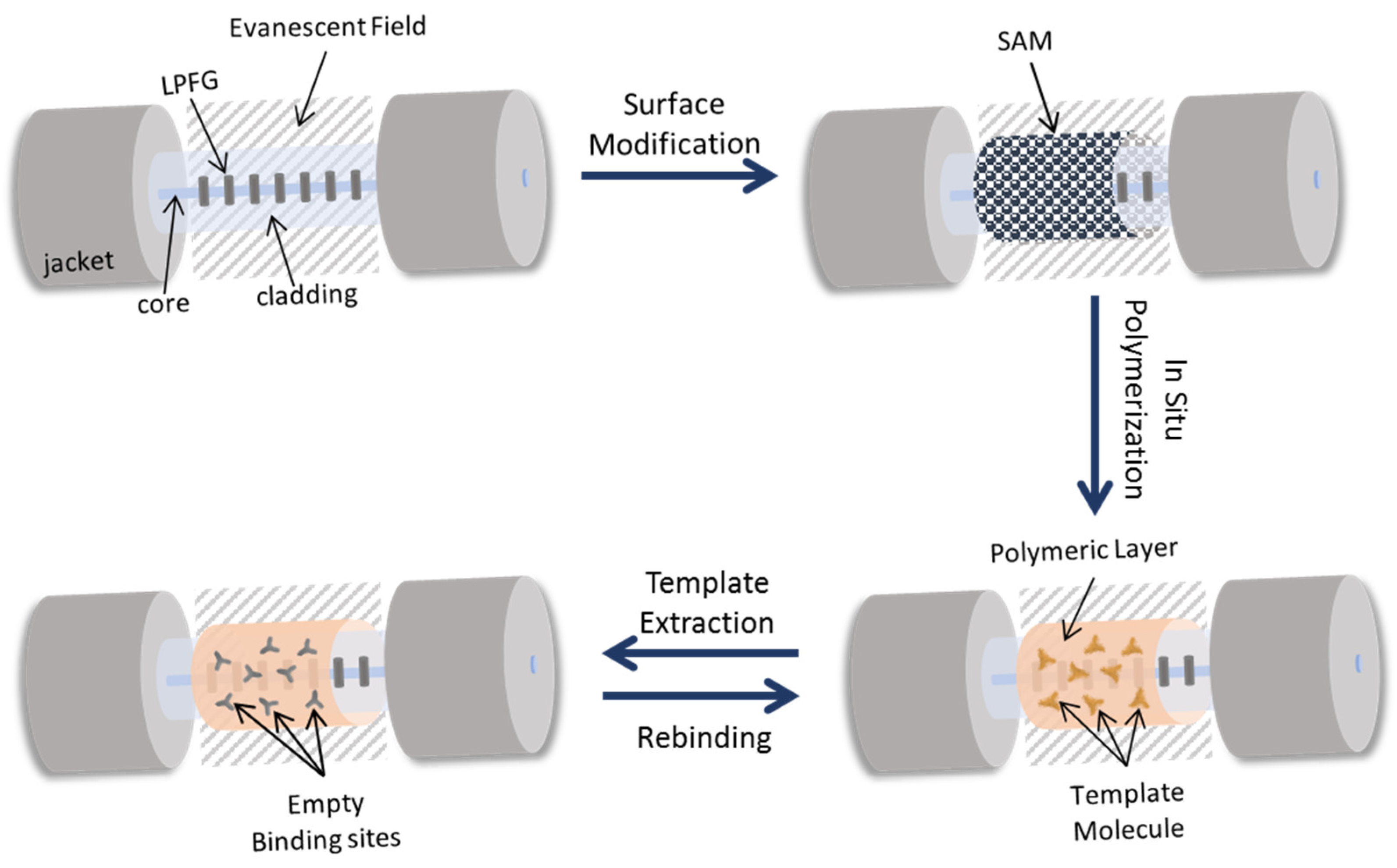 Biosensors 12 00515 g003