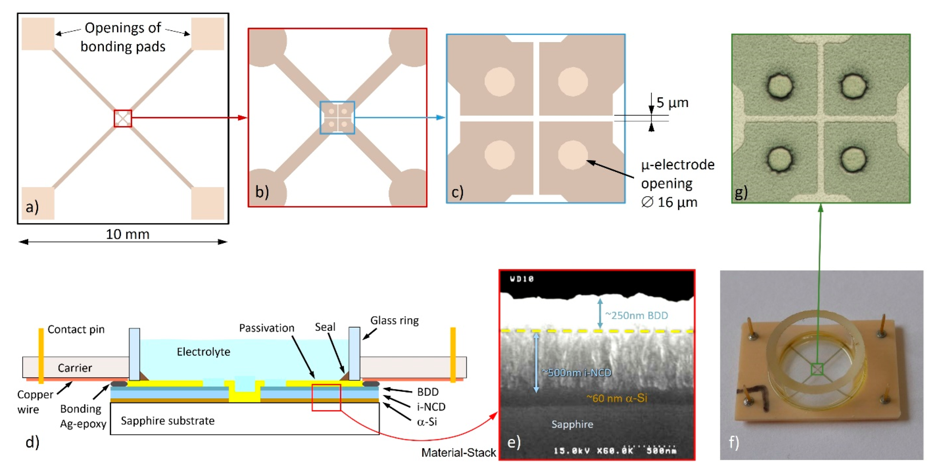 Biosensors 12 00525 g001 Biosensors 12 00525 g001