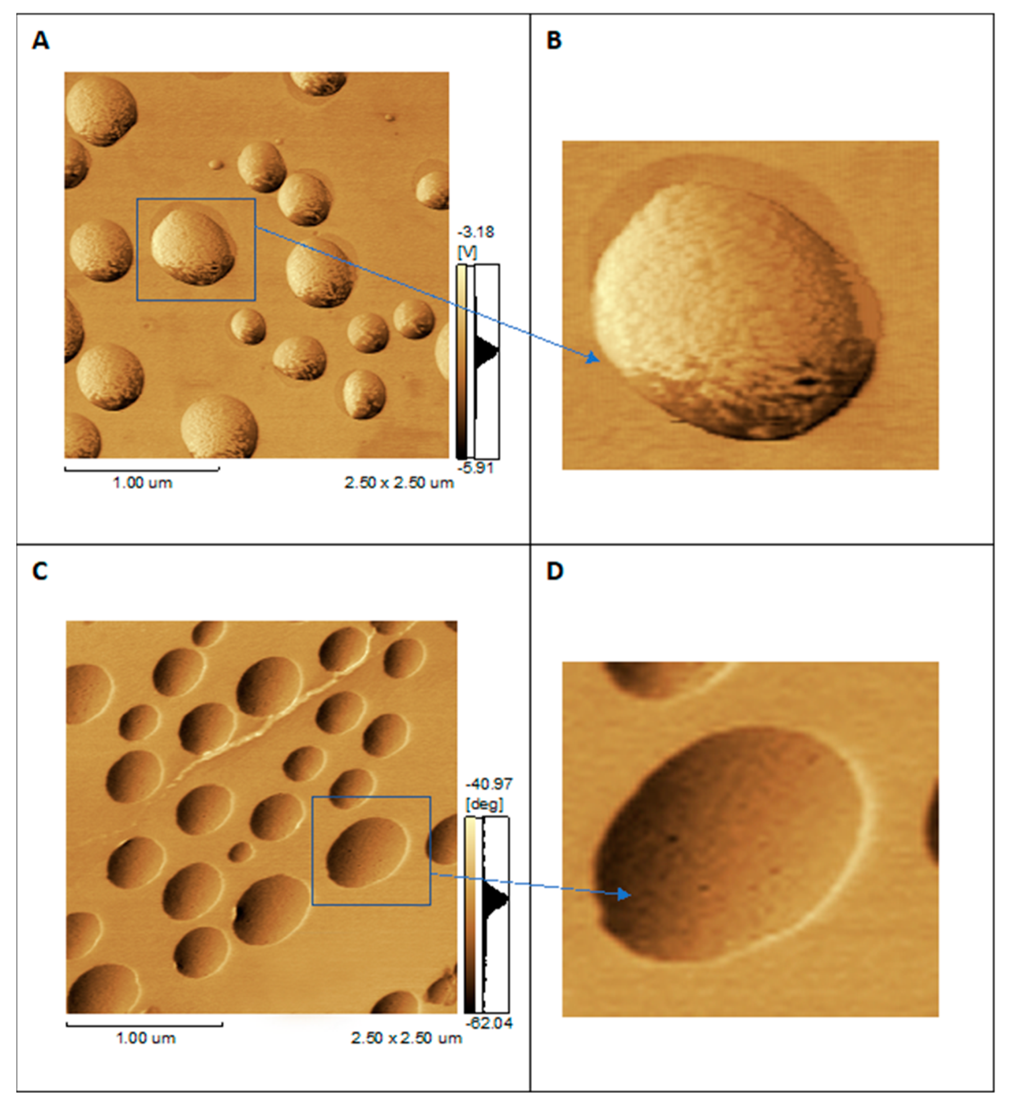Biosensors 12 00525 g002 Biosensors 12 00525 g002