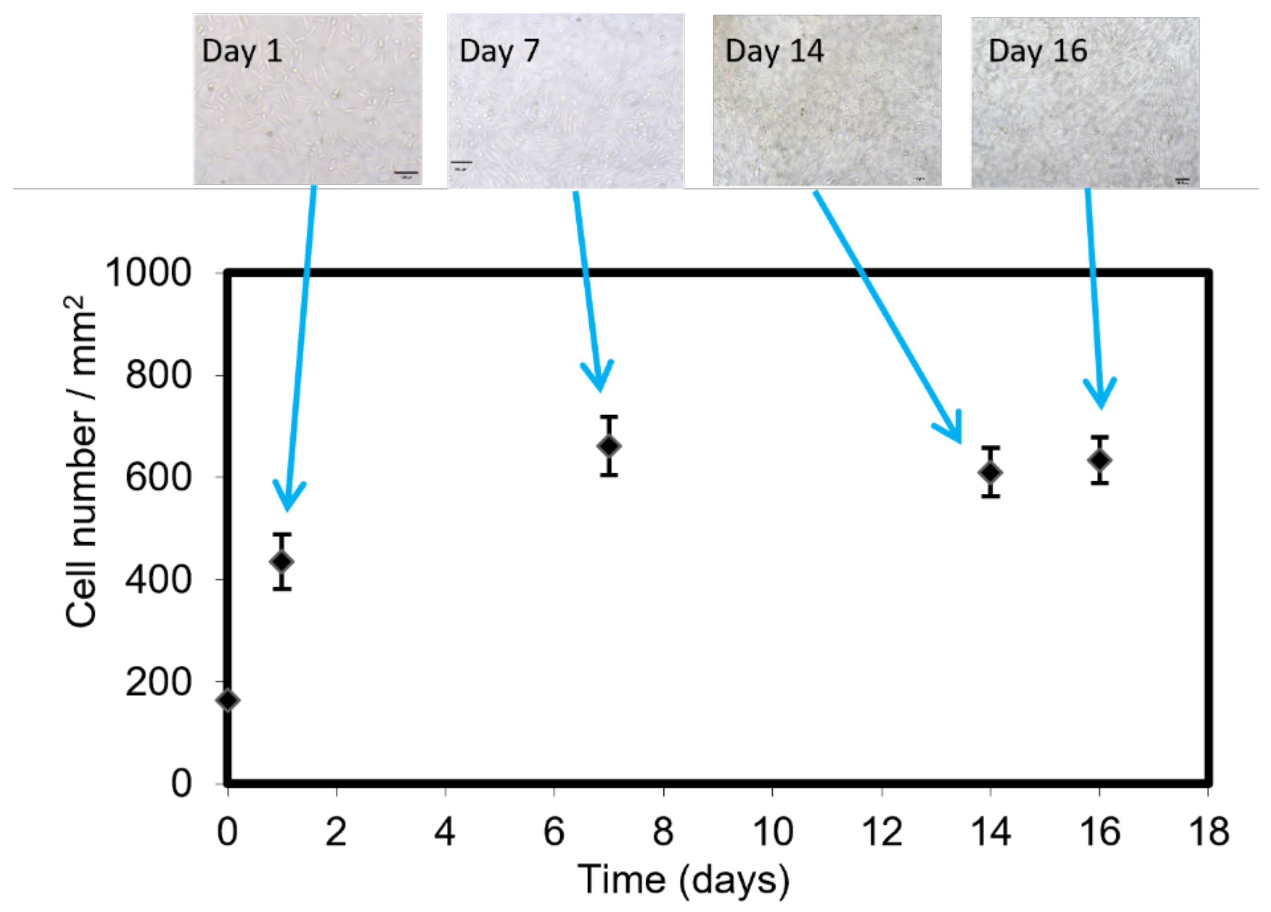 Biosensors 12 00526 g004