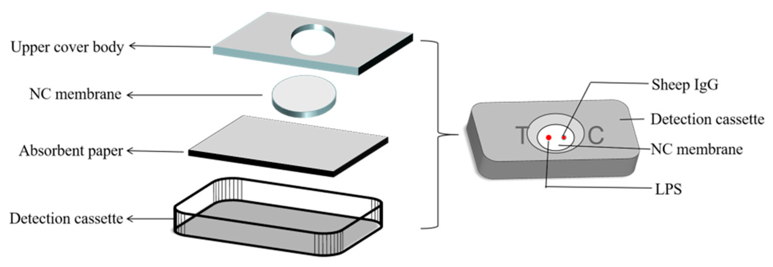 Biosensors 12 00531 g001