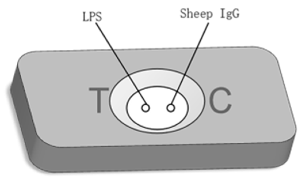 Biosensors 12 00531 g002