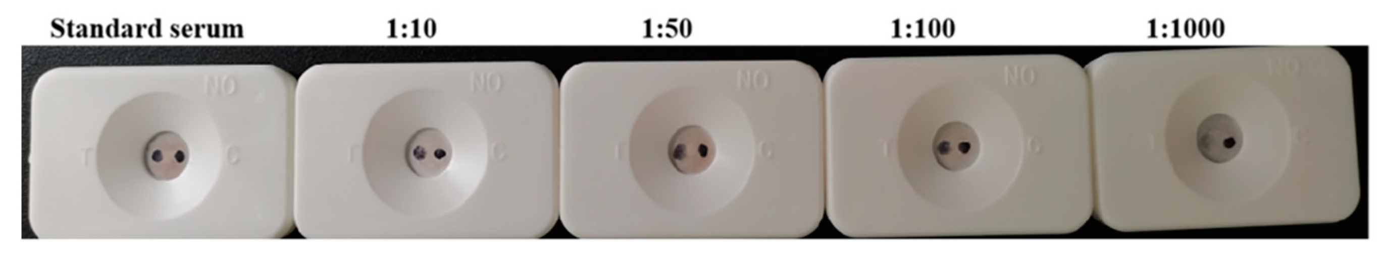 Biosensors 12 00531 g015