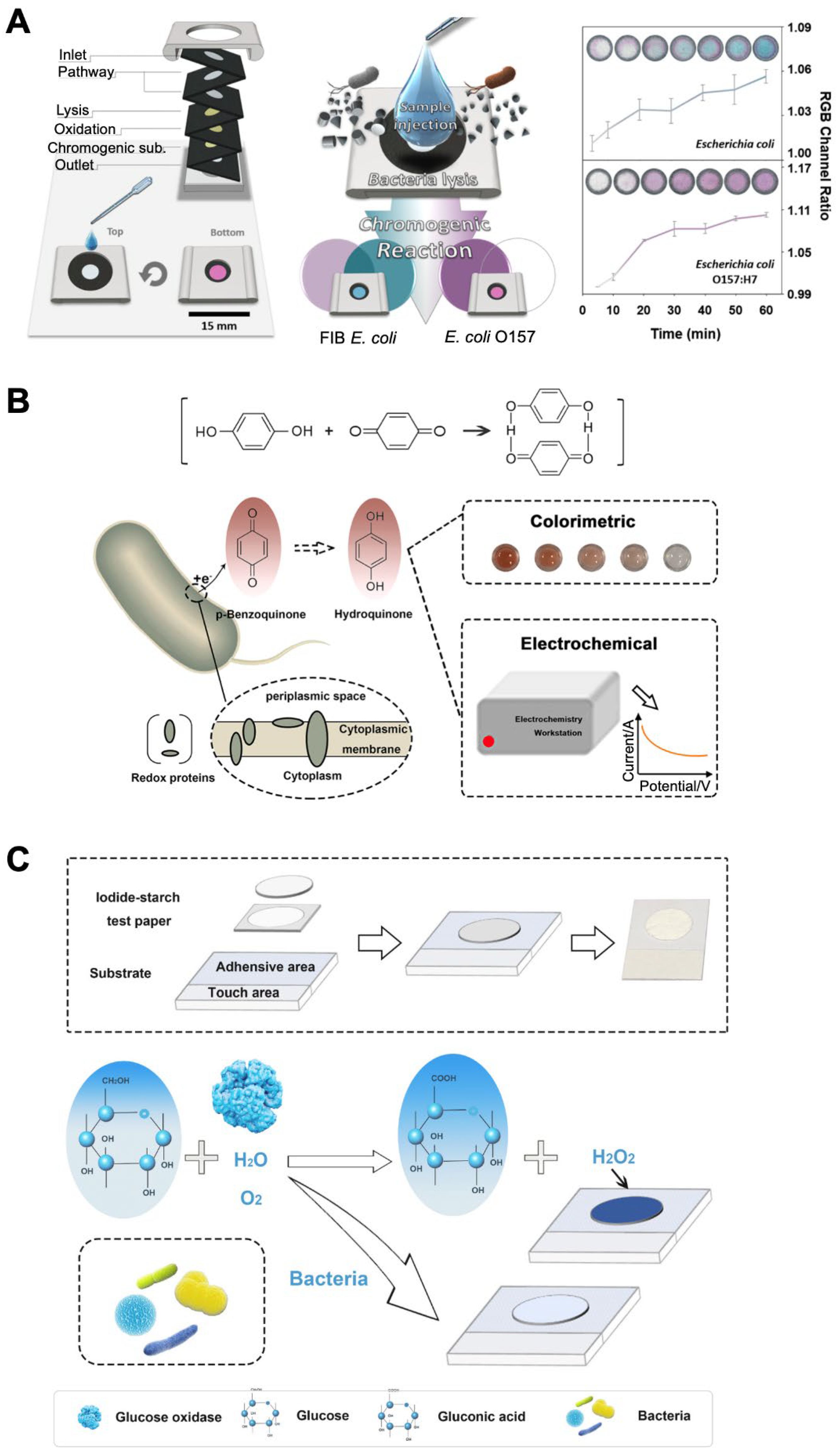 Biosensors 12 00532 g002