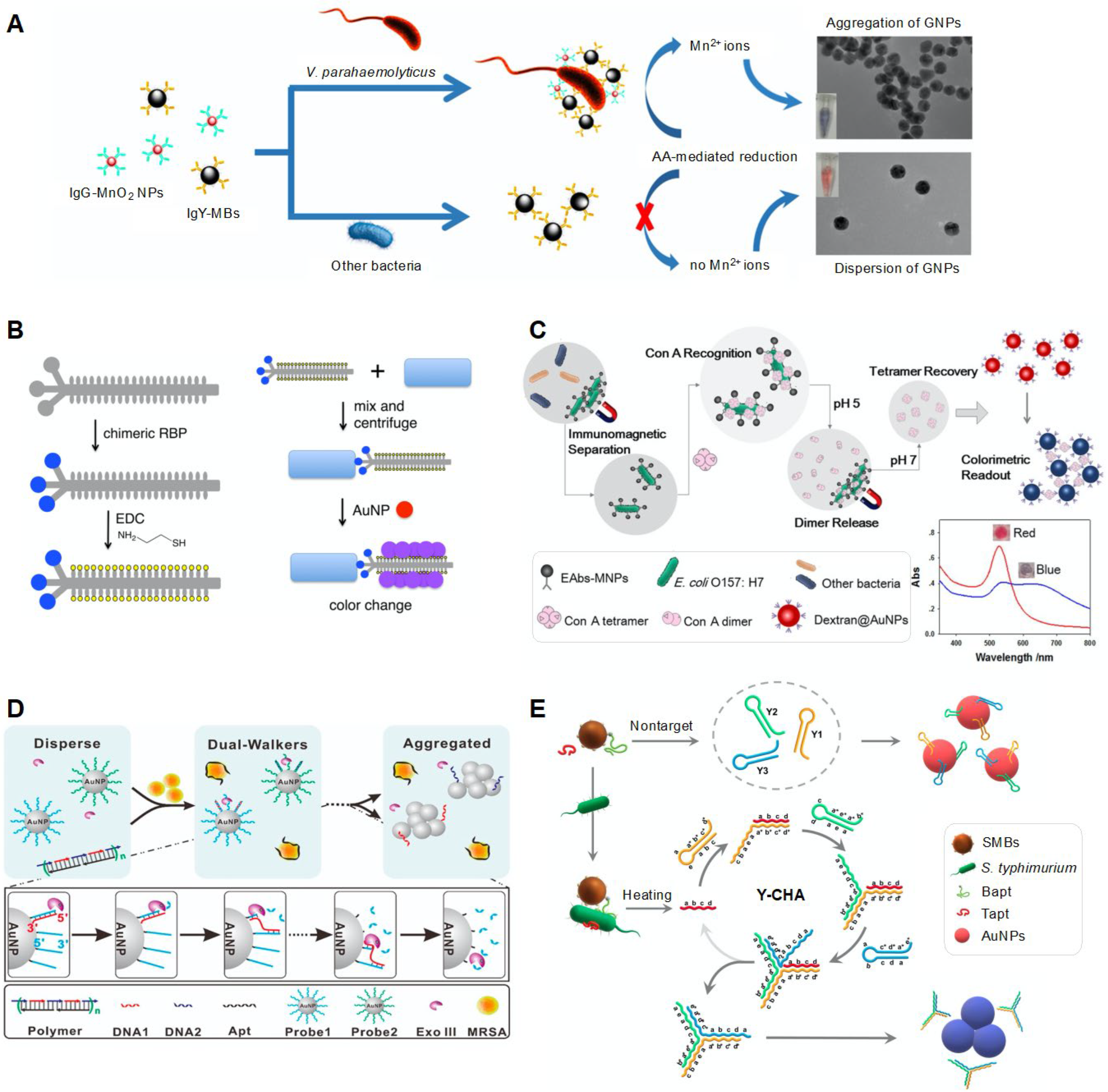 Biosensors 12 00532 g004