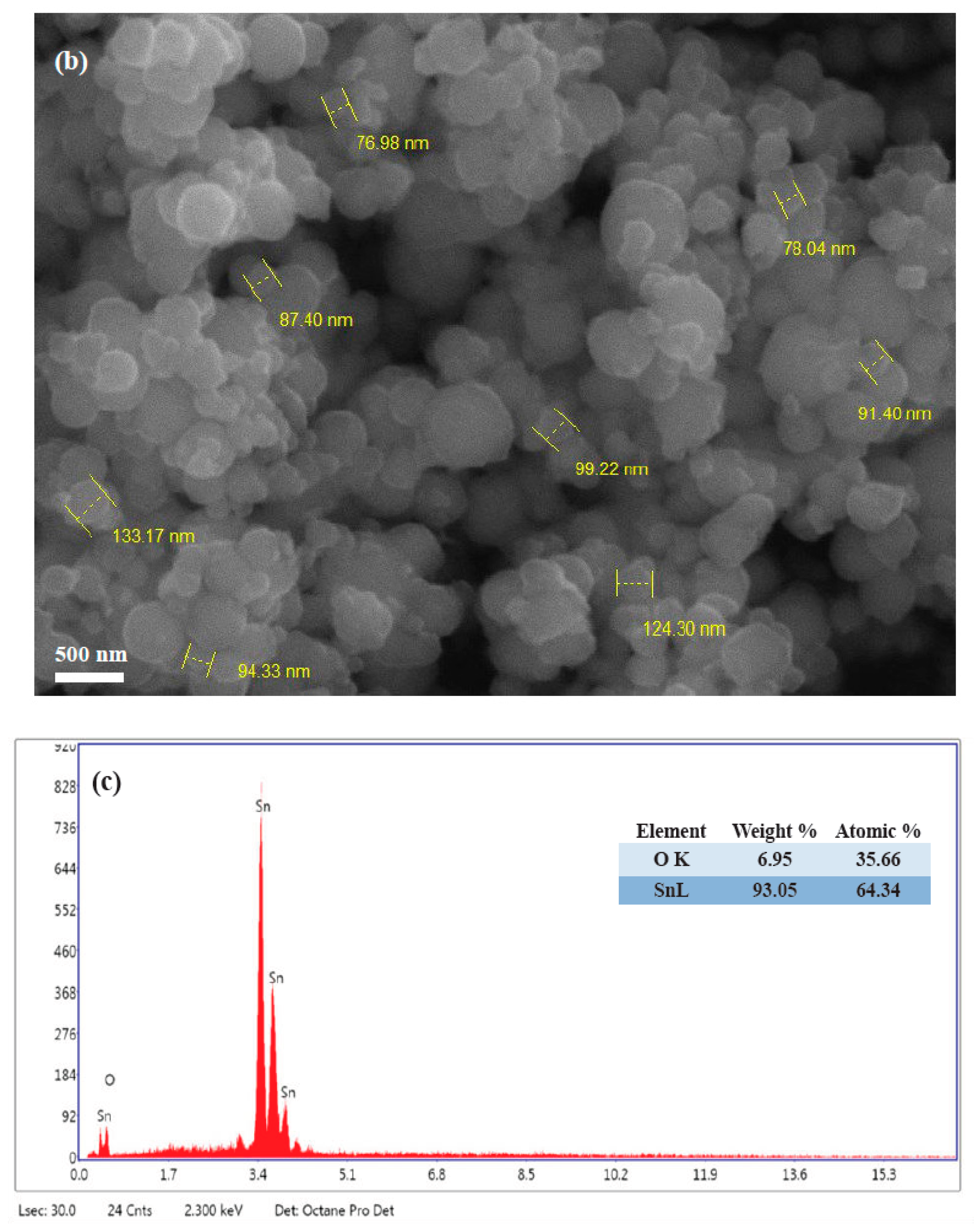 Biosensors 12 00538 g001b