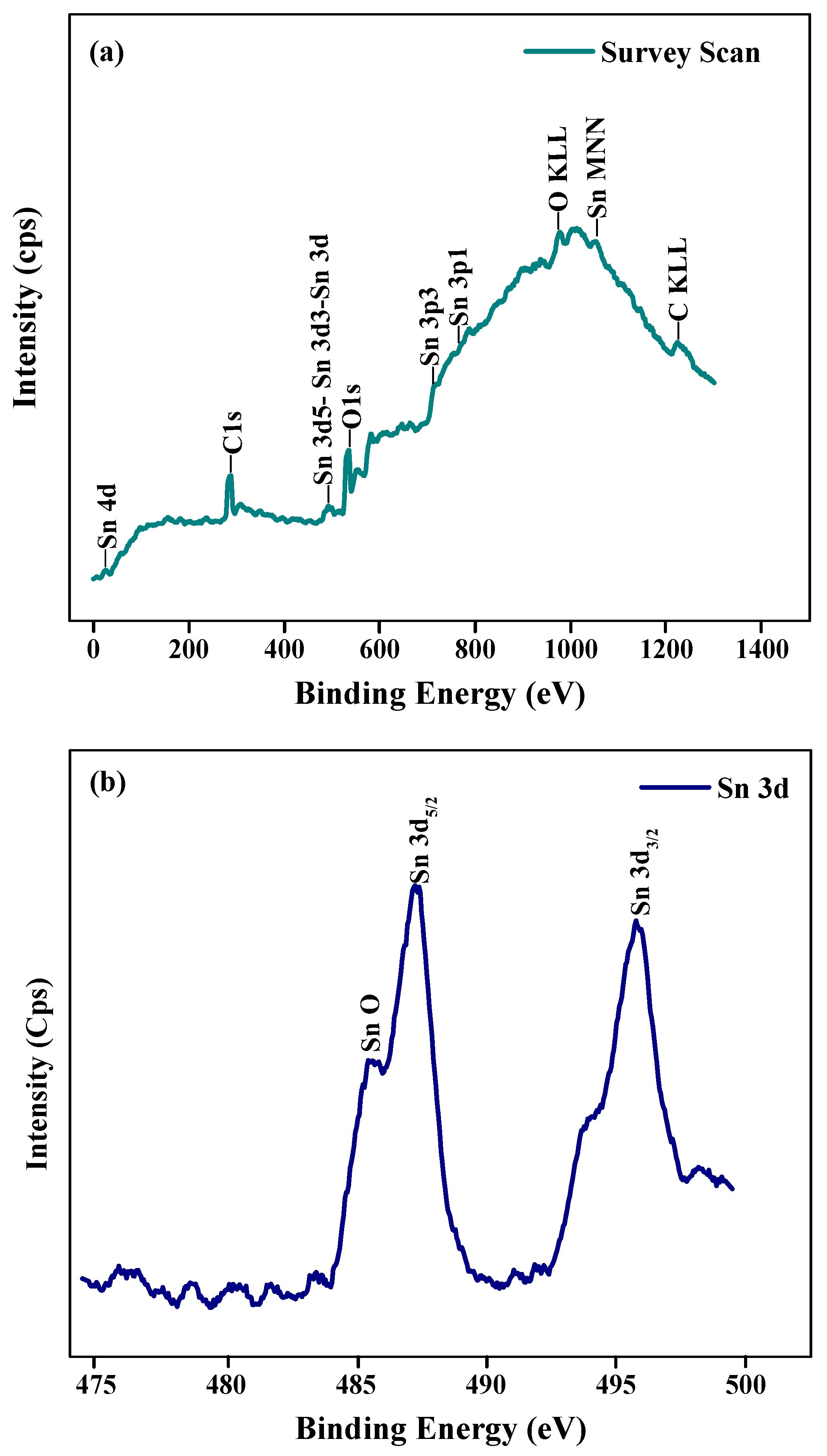 Biosensors 12 00538 g003