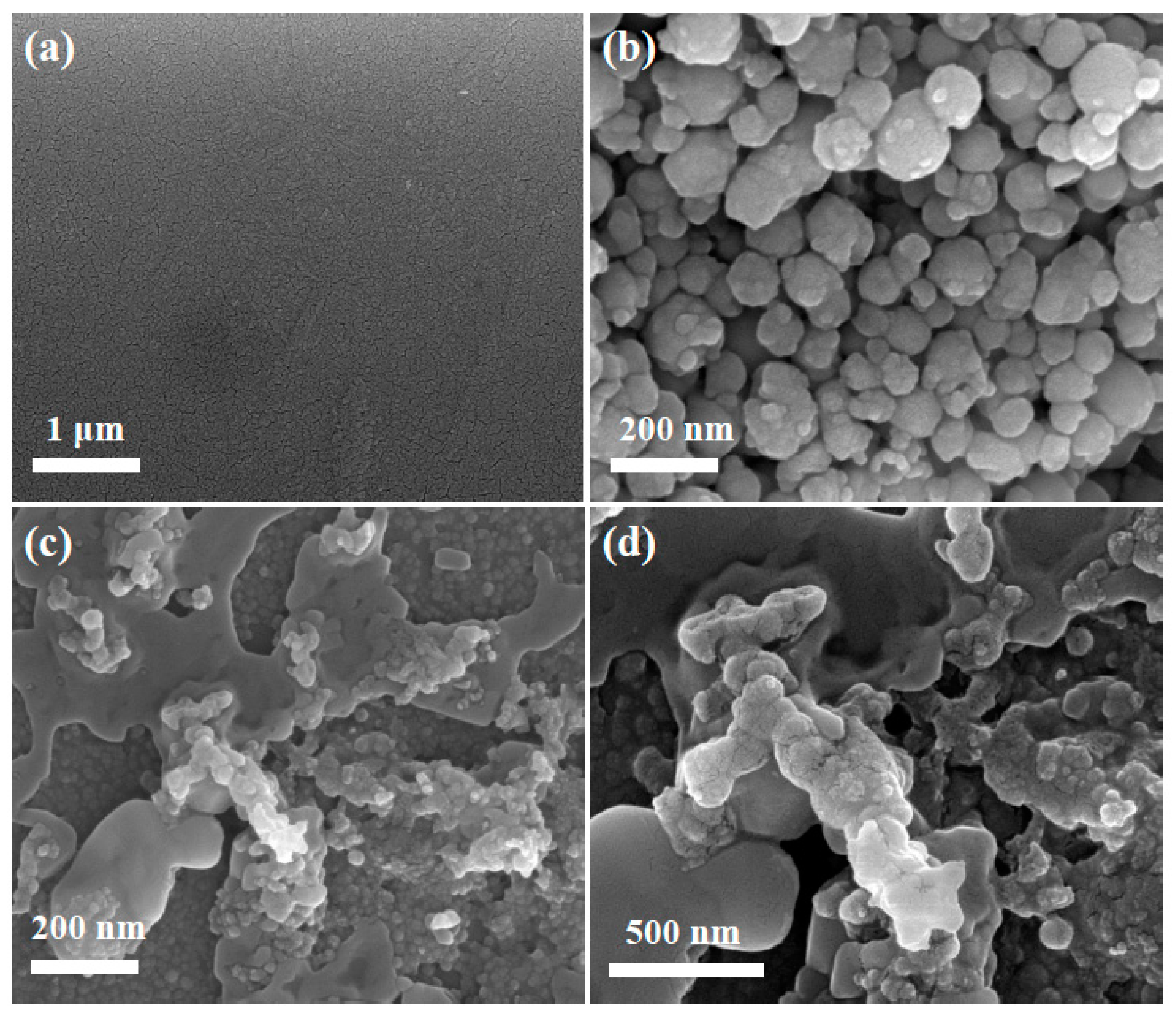 Biosensors 12 00538 g006