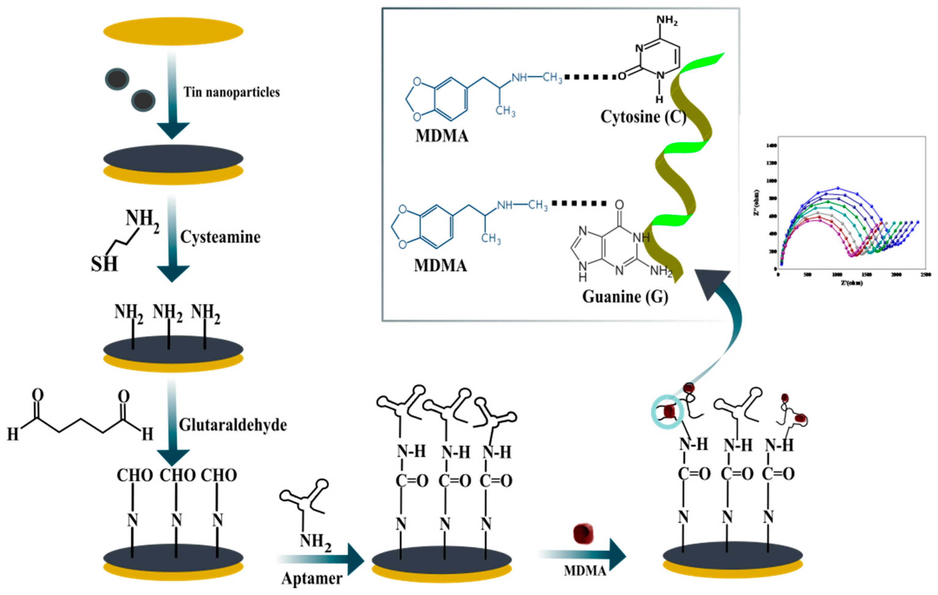 Biosensors 12 00538 sch001